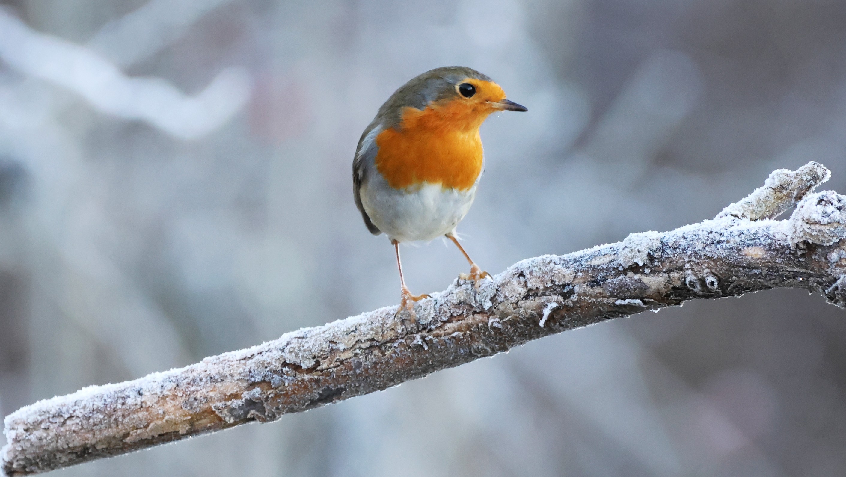 17d1b011-8236-4820-b4f4-1bd382dade3c.jpg 17d1b011-8236-4820-b4f4-1bd382dade3c.jpg