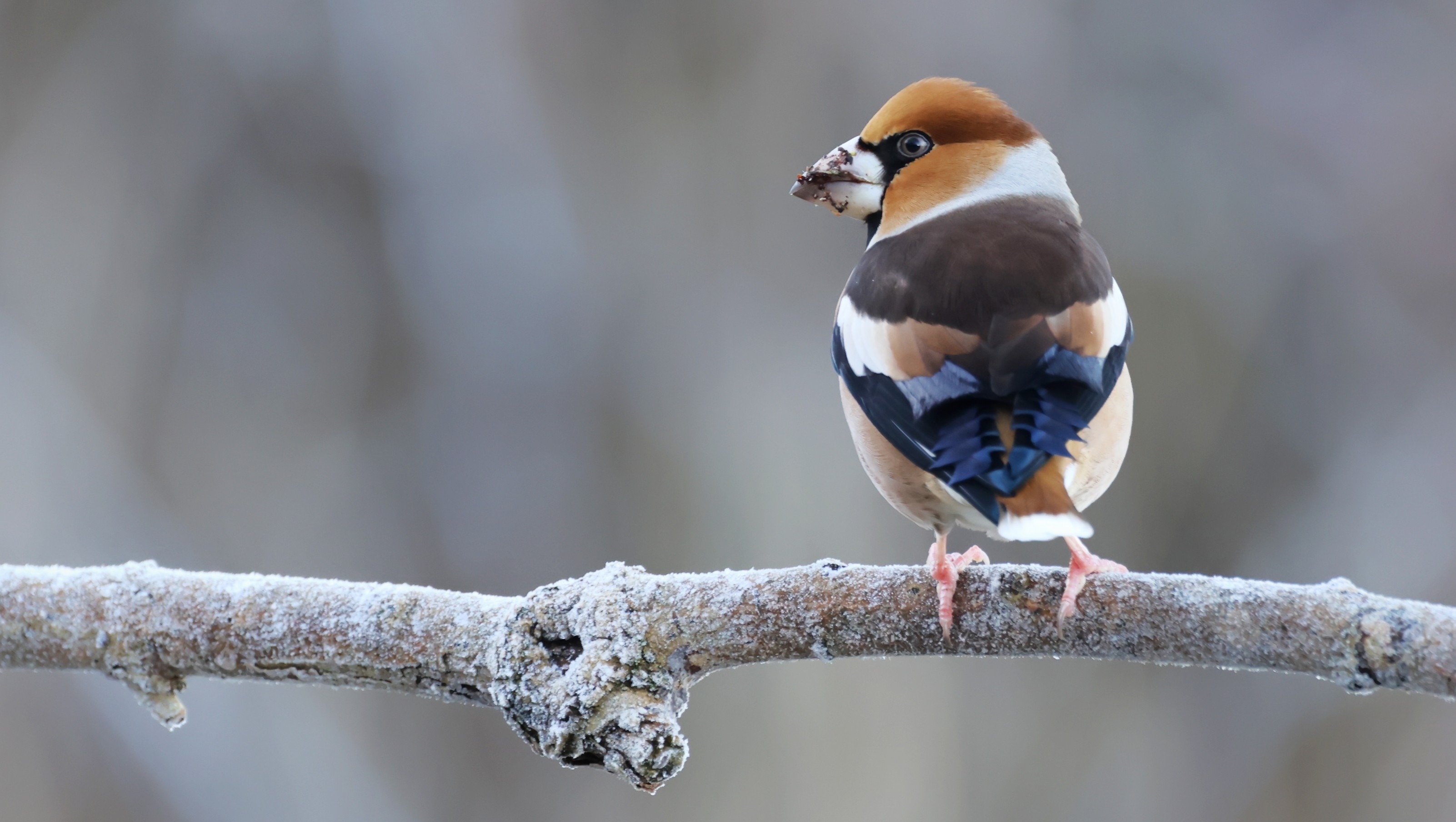 18dc27ab-46cf-4943-86fc-a97b7602bc4d.jpg 18dc27ab-46cf-4943-86fc-a97b7602bc4d.jpg