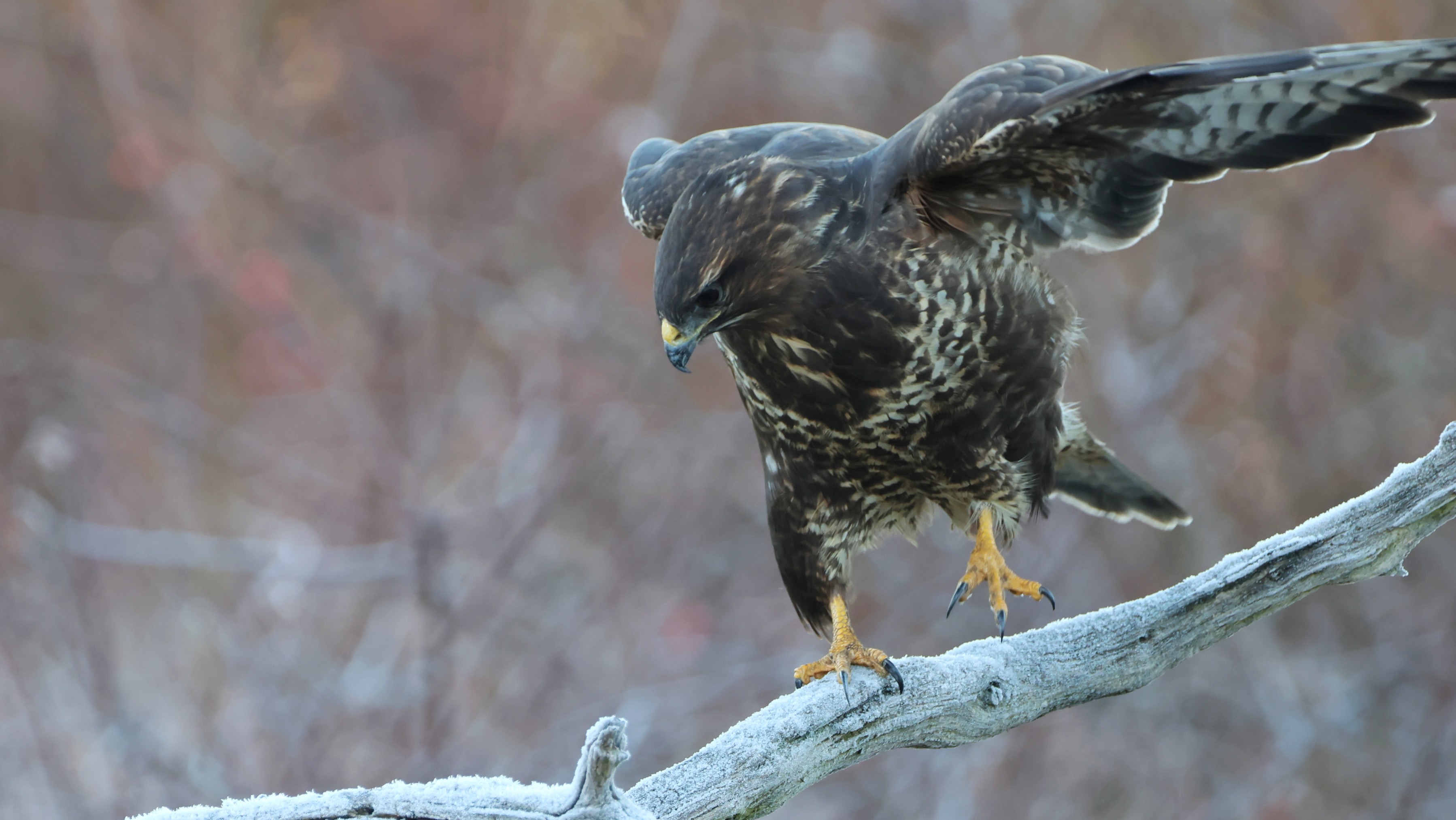 bfe84e60-56a2-4659-bf72-f5a243d5082c.jpg bfe84e60-56a2-4659-bf72-f5a243d5082c.jpg