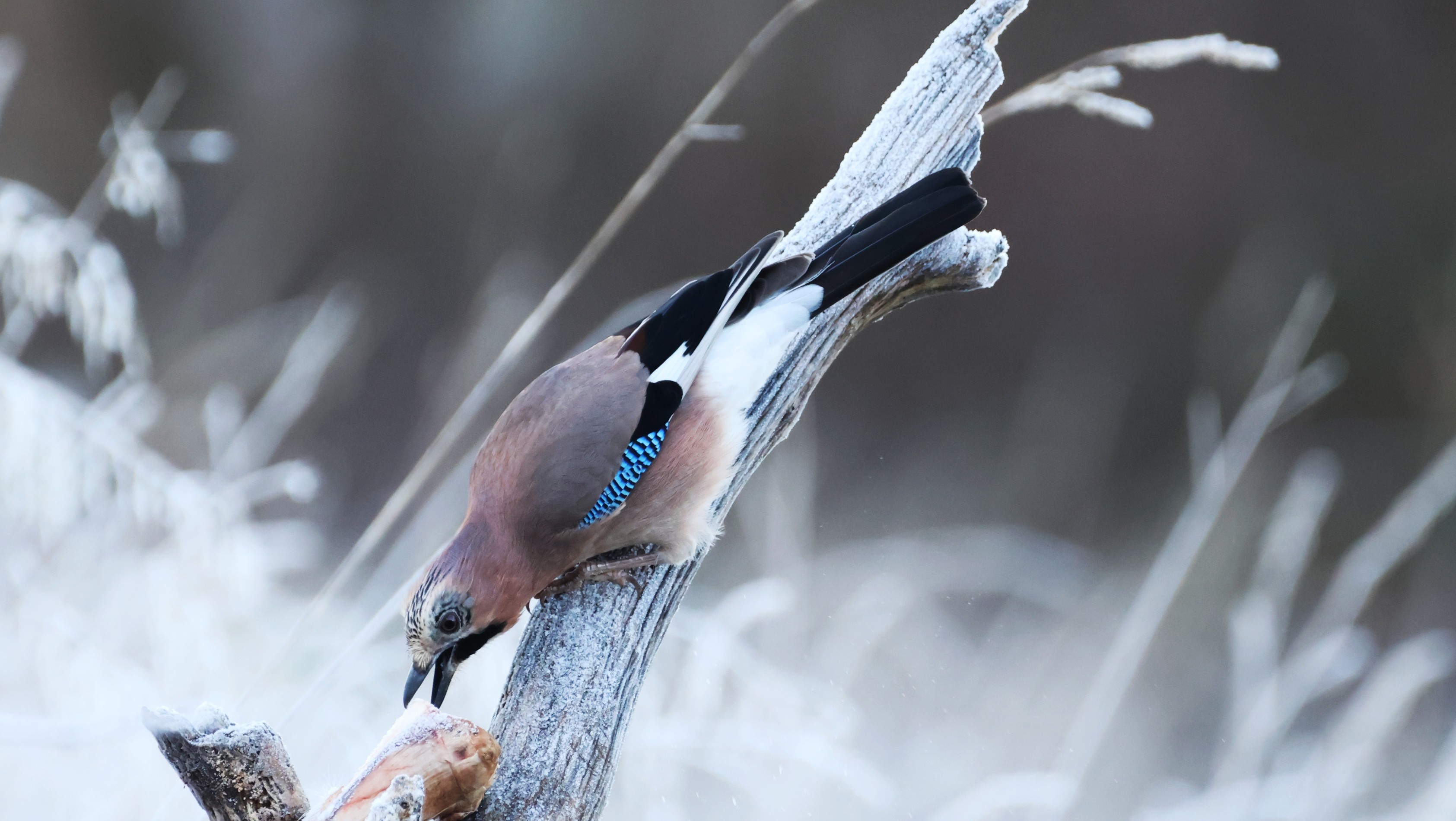 bgddae46-6ece-4763-bc6c-a63e08c624de.jpg bgddae46-6ece-4763-bc6c-a63e08c624de.jpg