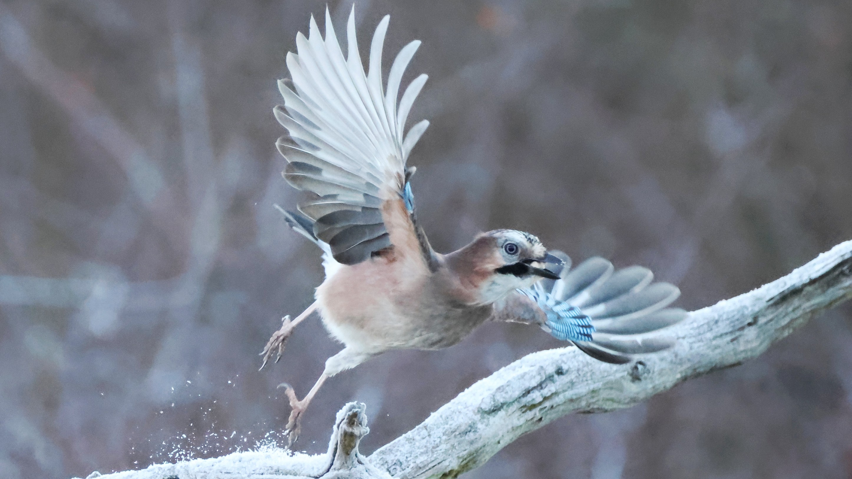 c1c7d1f8-0aff-4841-95e0-498cf3916930.jpg c1c7d1f8-0aff-4841-95e0-498cf3916930.jpg