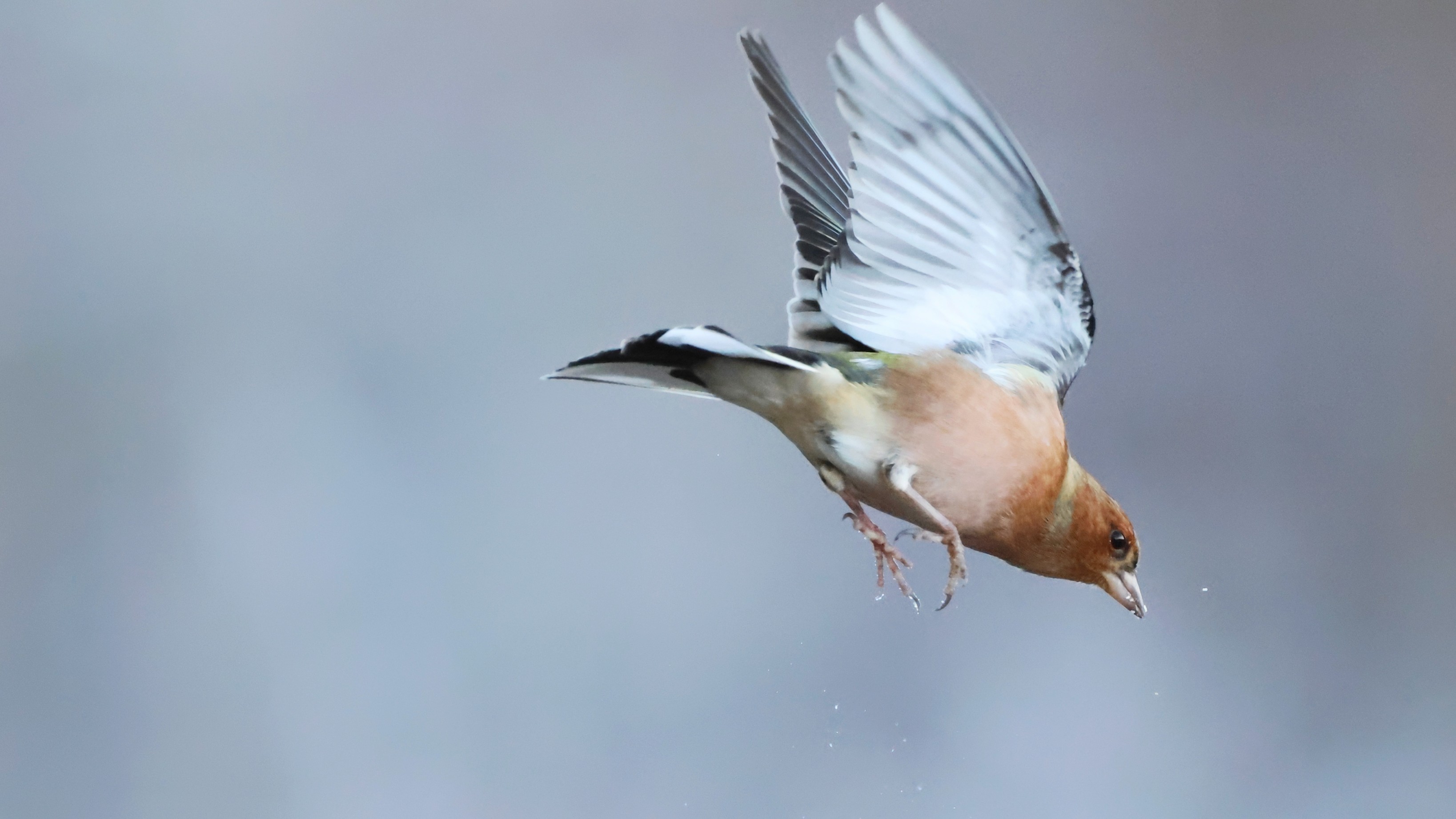 e8874932-e623-4281-80fc-598dd6221279.jpg e8874932-e623-4281-80fc-598dd6221279.jpg