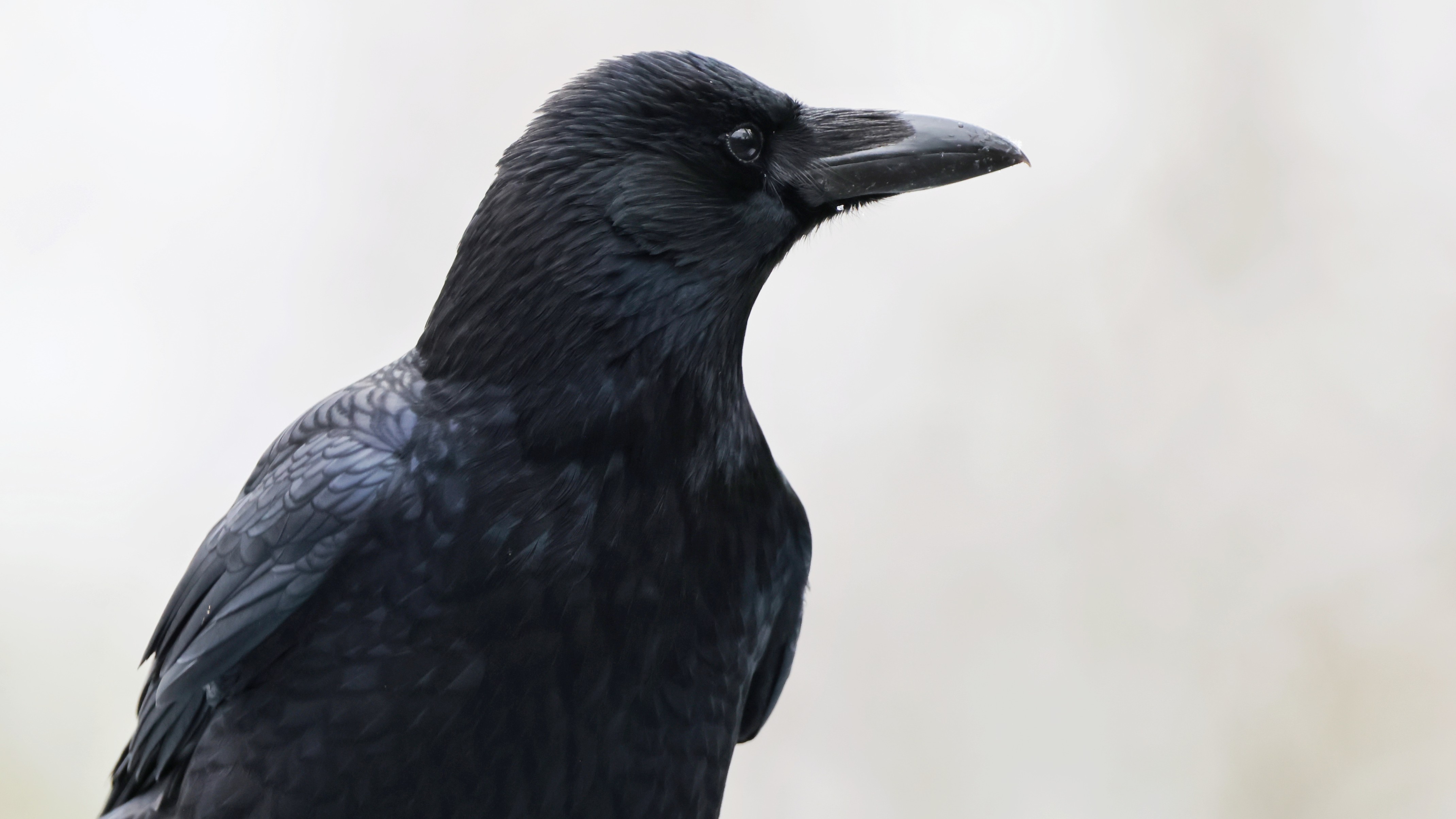 035ba1aa-ee7f-4e62-b6d9-3b56b2fadd37.jpg 035ba1aa-ee7f-4e62-b6d9-3b56b2fadd37.jpg