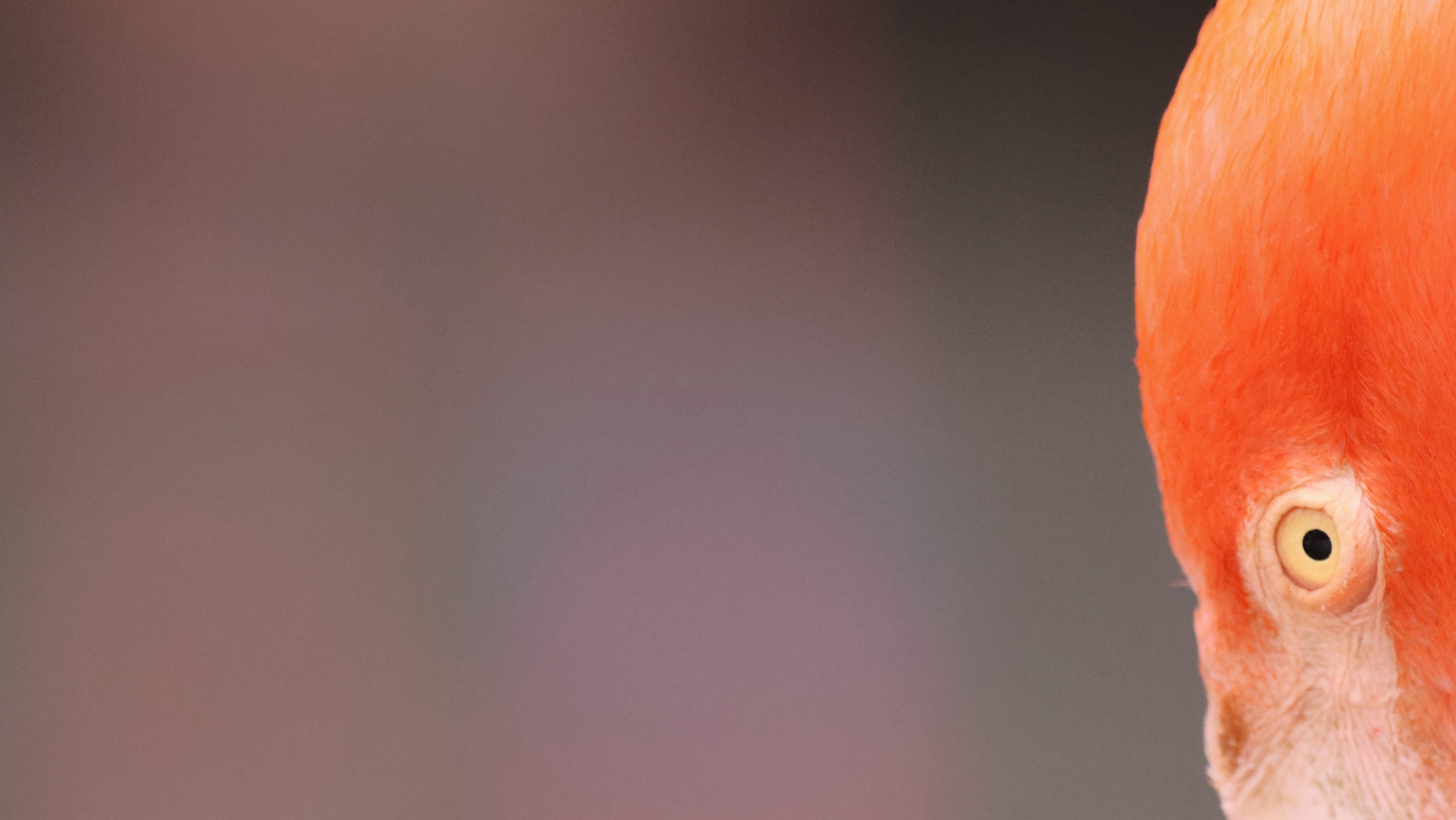 07e4ca62-7b81-4b1b-a5a4-eb7f82abd7a5.jpg 07e4ca62-7b81-4b1b-a5a4-eb7f82abd7a5.jpg