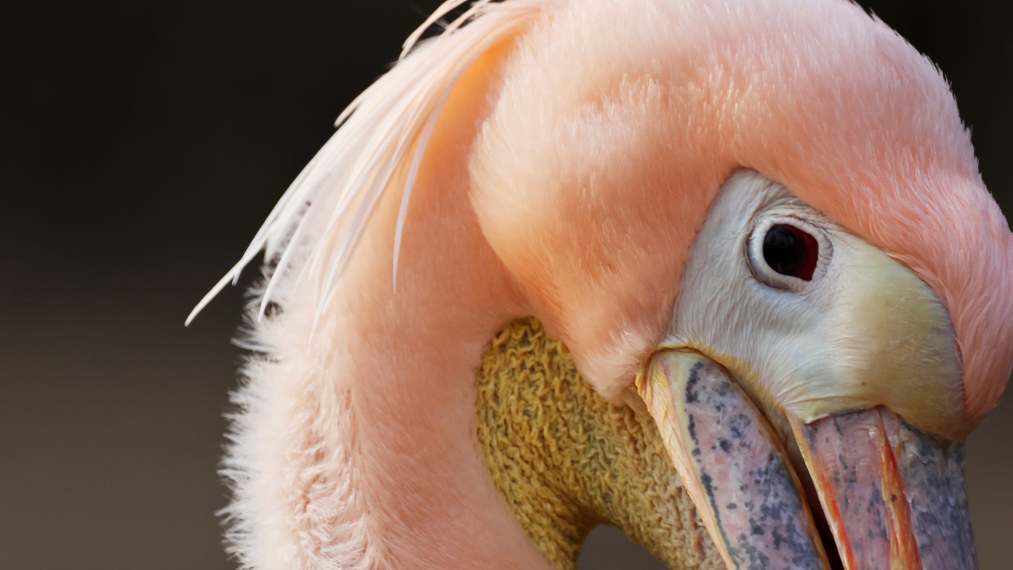 46dc004b-39a7-4b3e-ba83-716e2fda7174.jpg 46dc004b-39a7-4b3e-ba83-716e2fda7174.jpg