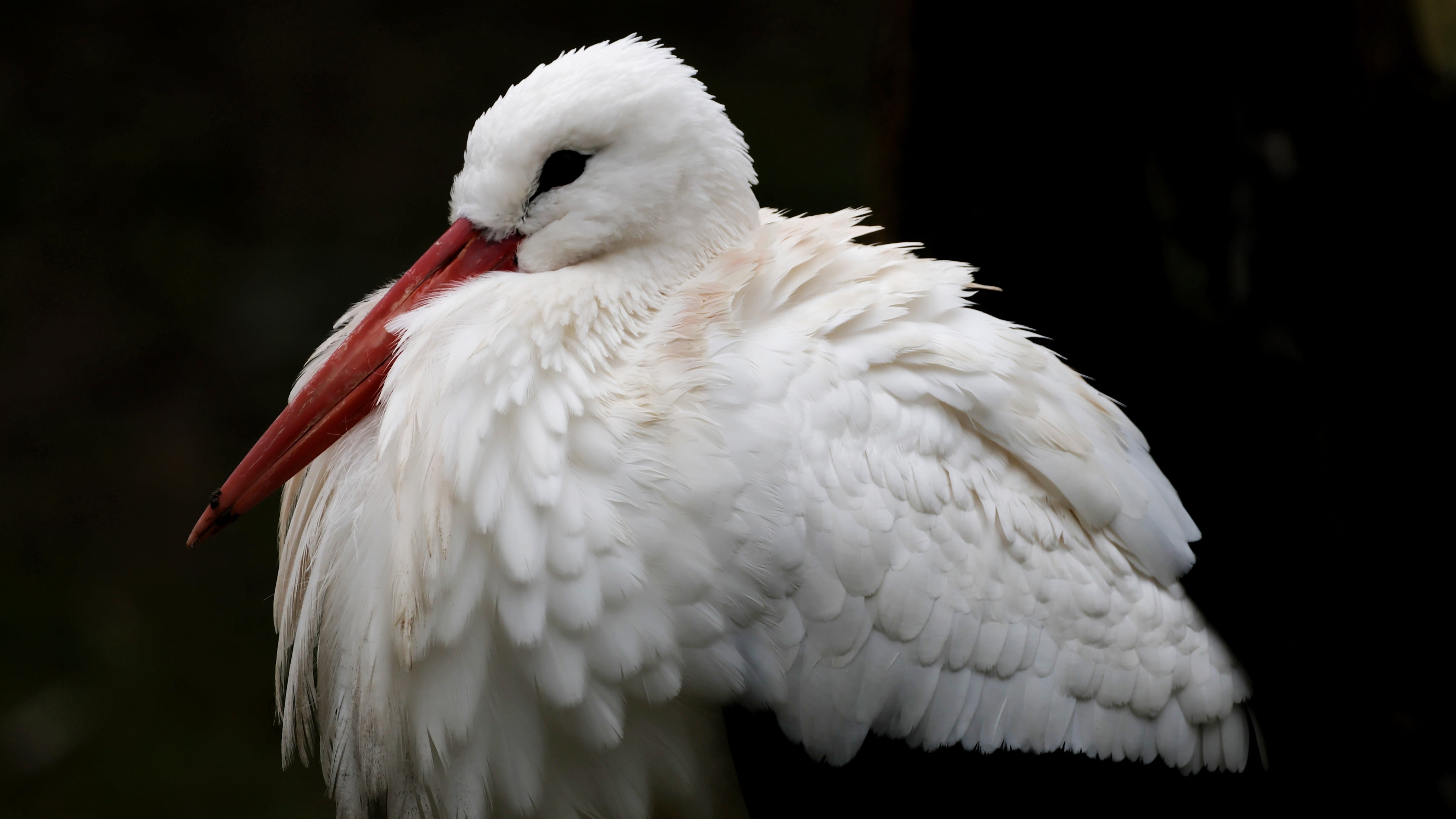 71594f06-2933-4842-b22f-5ce1184ad727.jpg 71594f06-2933-4842-b22f-5ce1184ad727.jpg