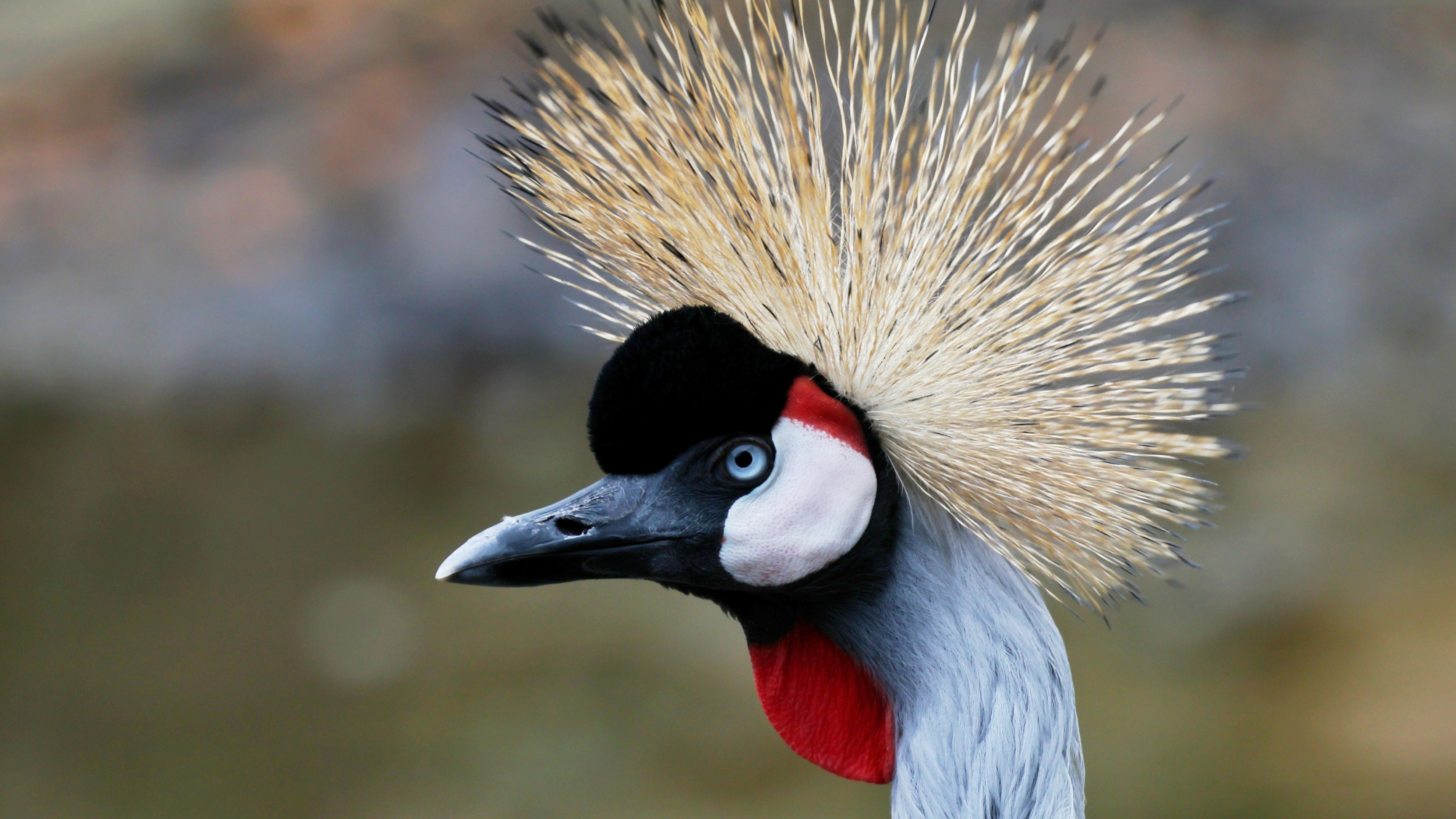 903860c5-e15e-4f45-80cc-845305d0dedf.jpg 903860c5-e15e-4f45-80cc-845305d0dedf.jpg