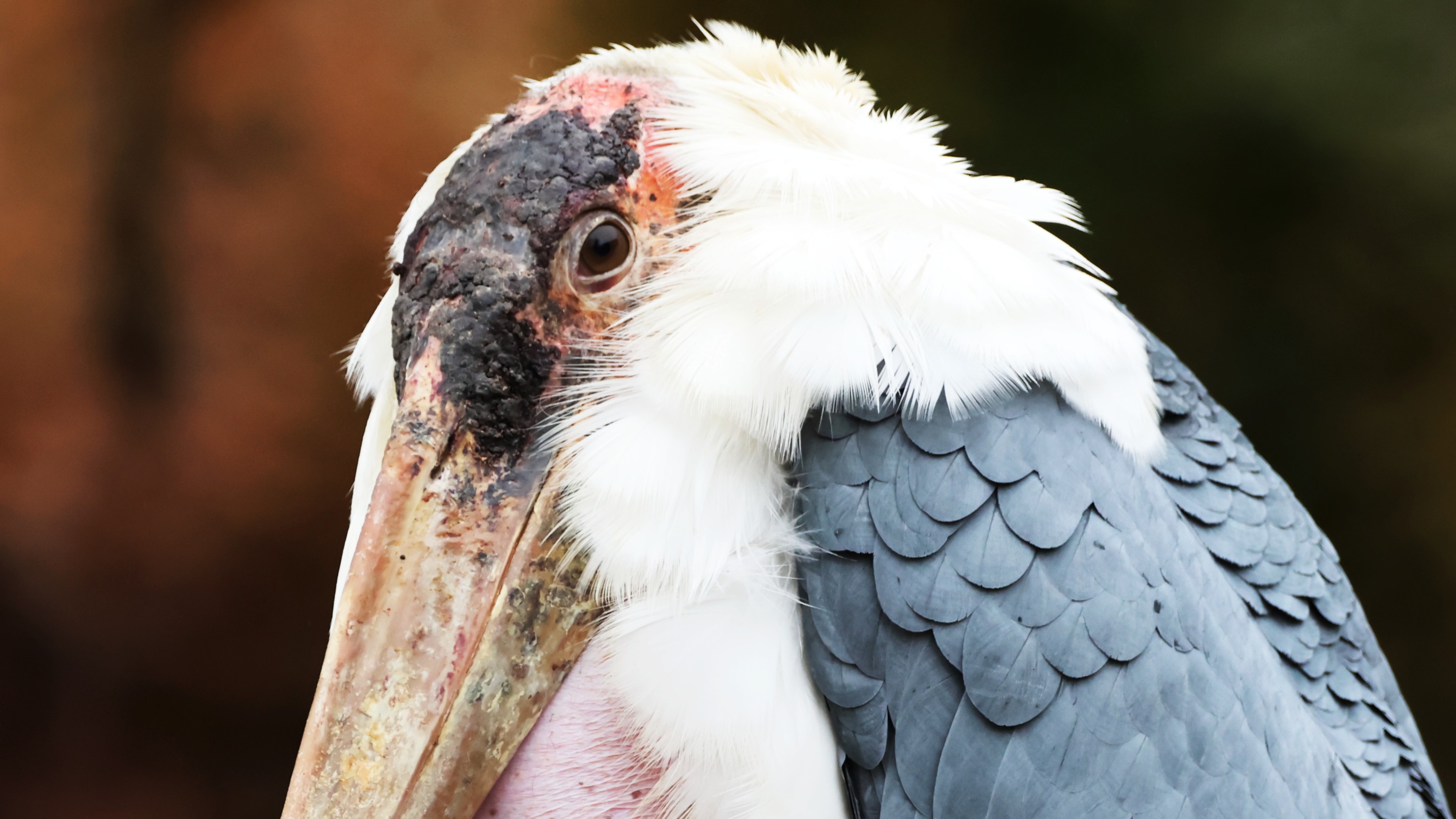 b00c2995-2a0c-406e-96d1-9e7c5ee6a7da.jpg b00c2995-2a0c-406e-96d1-9e7c5ee6a7da.jpg