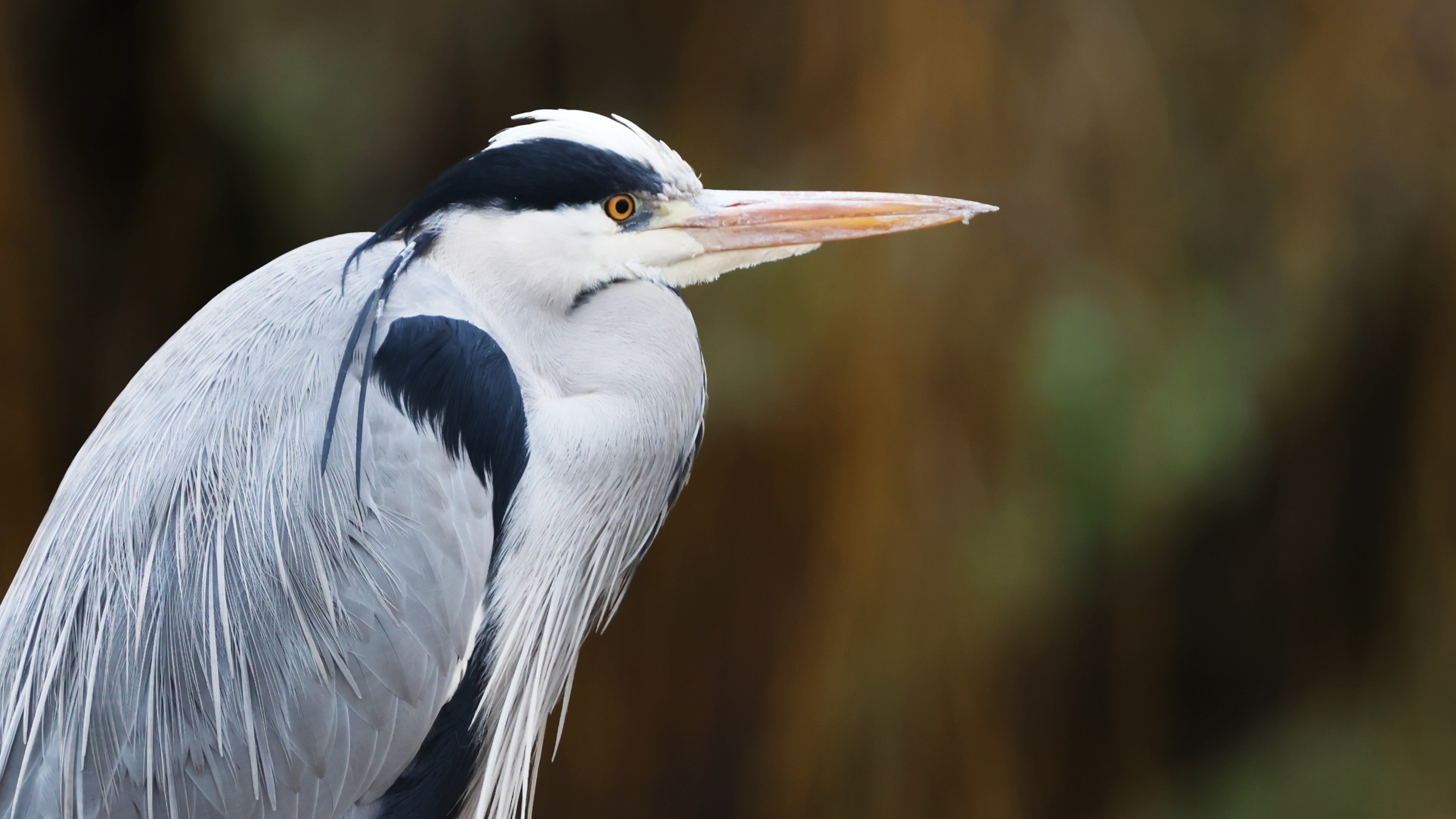 b0ec14ac-417e-4e6c-a7d4-f76efe8b24fe.jpg b0ec14ac-417e-4e6c-a7d4-f76efe8b24fe.jpg