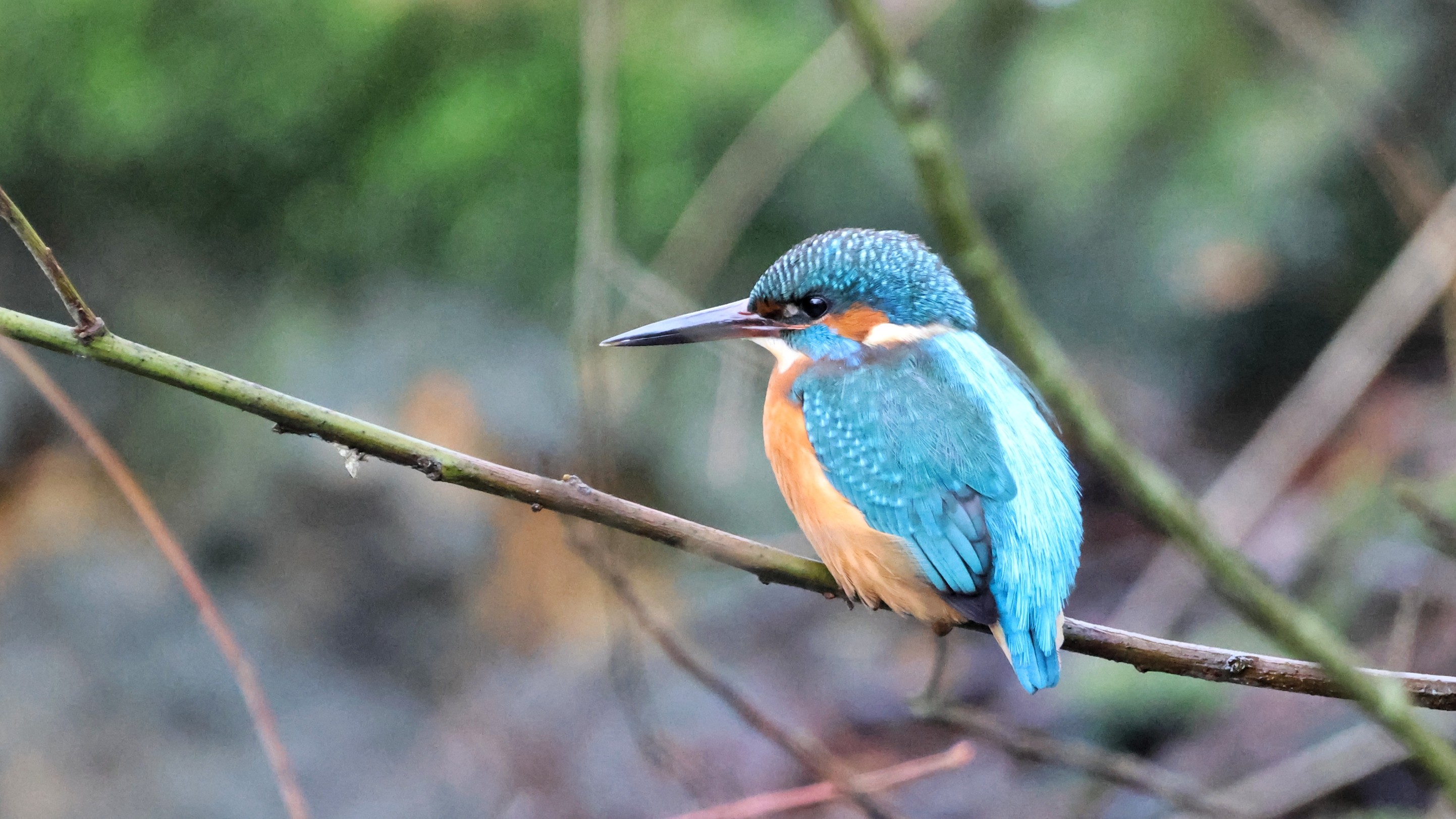 c32dc046-7276-4ad9-8bd0-d069992068c7.jpg c32dc046-7276-4ad9-8bd0-d069992068c7.jpg