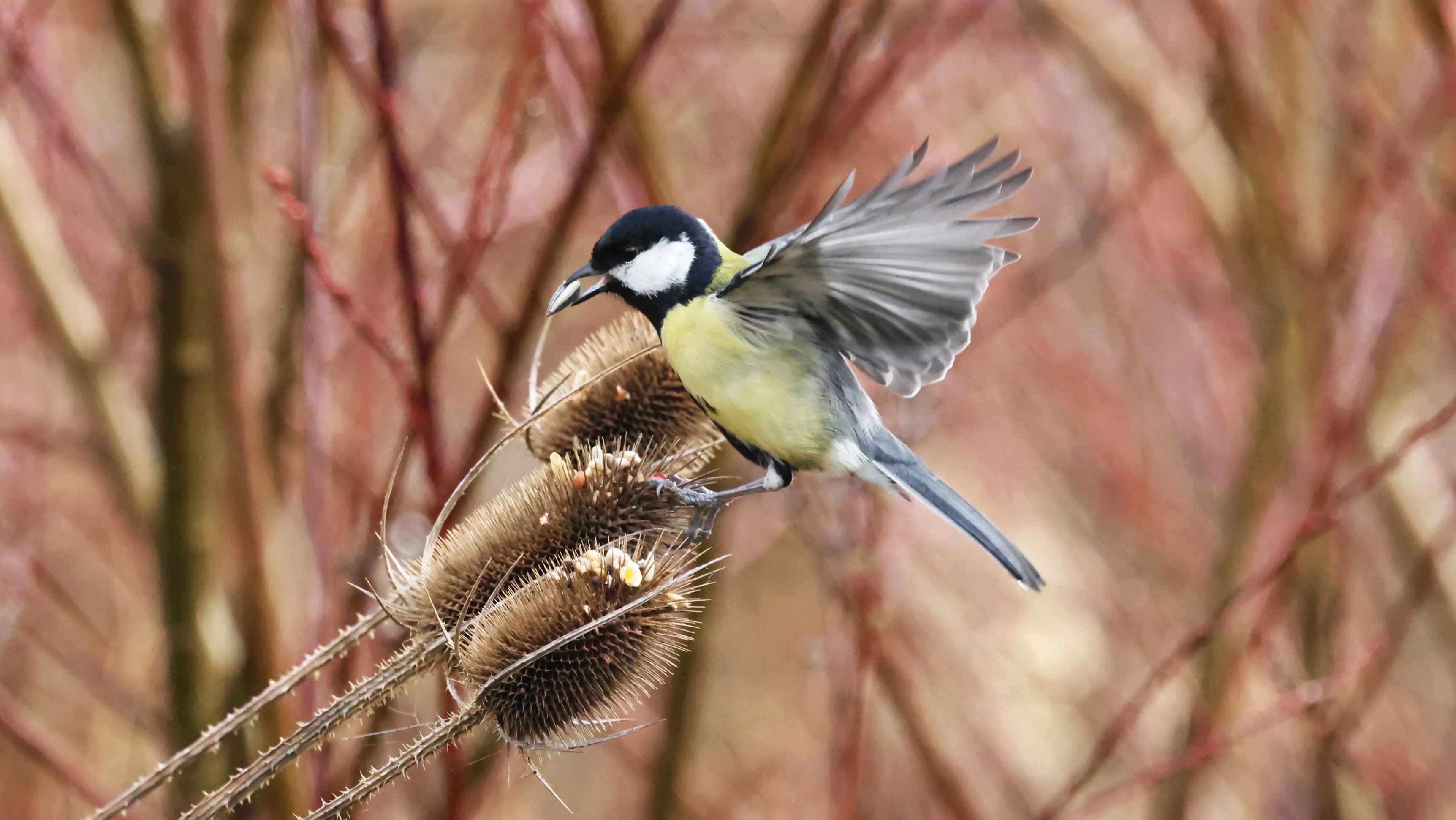 1a718acb-deed-46a2-a1a2-ee27bf2f3e47.jpg 1a718acb-deed-46a2-a1a2-ee27bf2f3e47.jpg