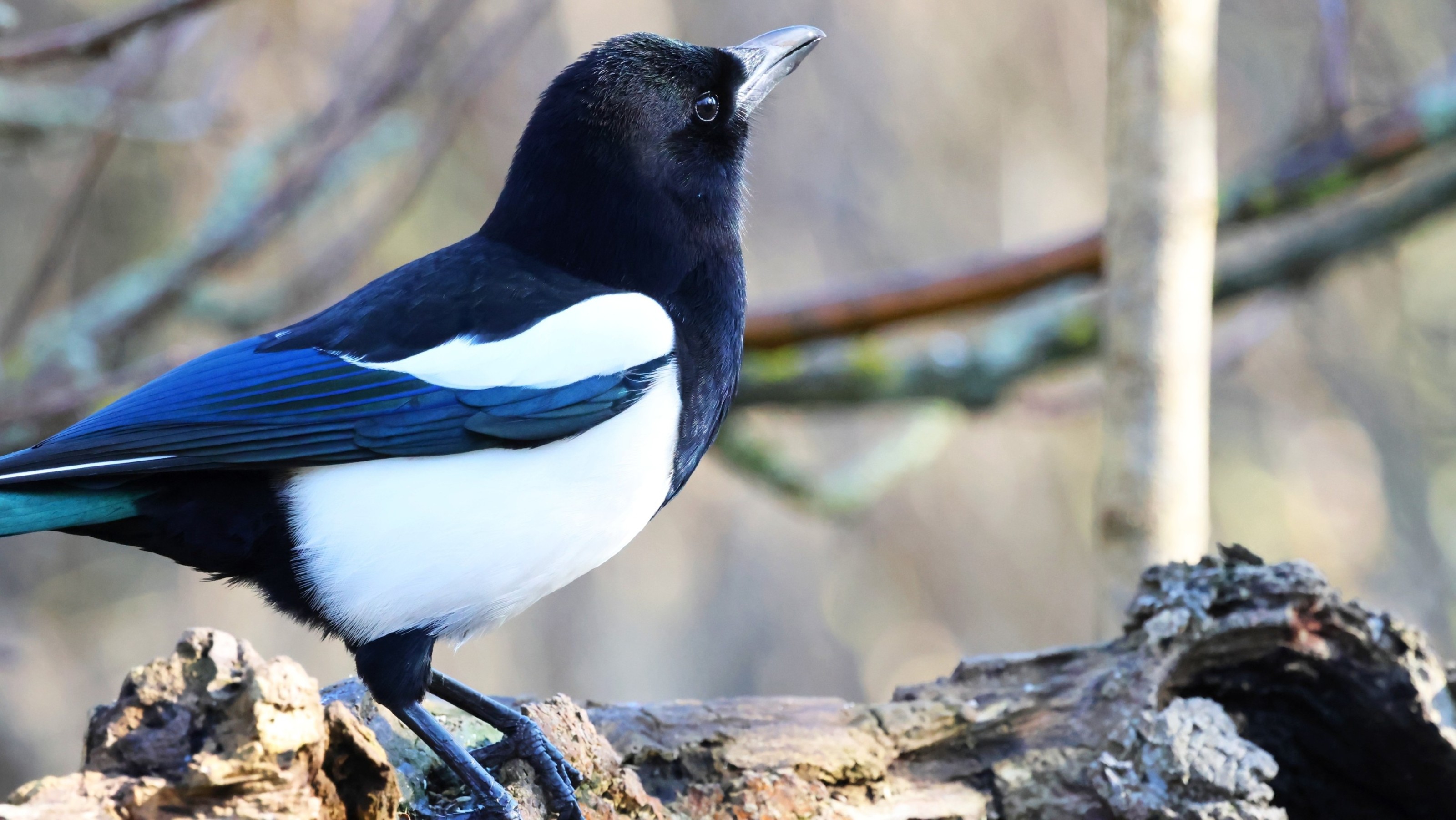 1b32d22e-6cc2-4db4-8c38-bc41d59cca16.jpg 1b32d22e-6cc2-4db4-8c38-bc41d59cca16.jpg