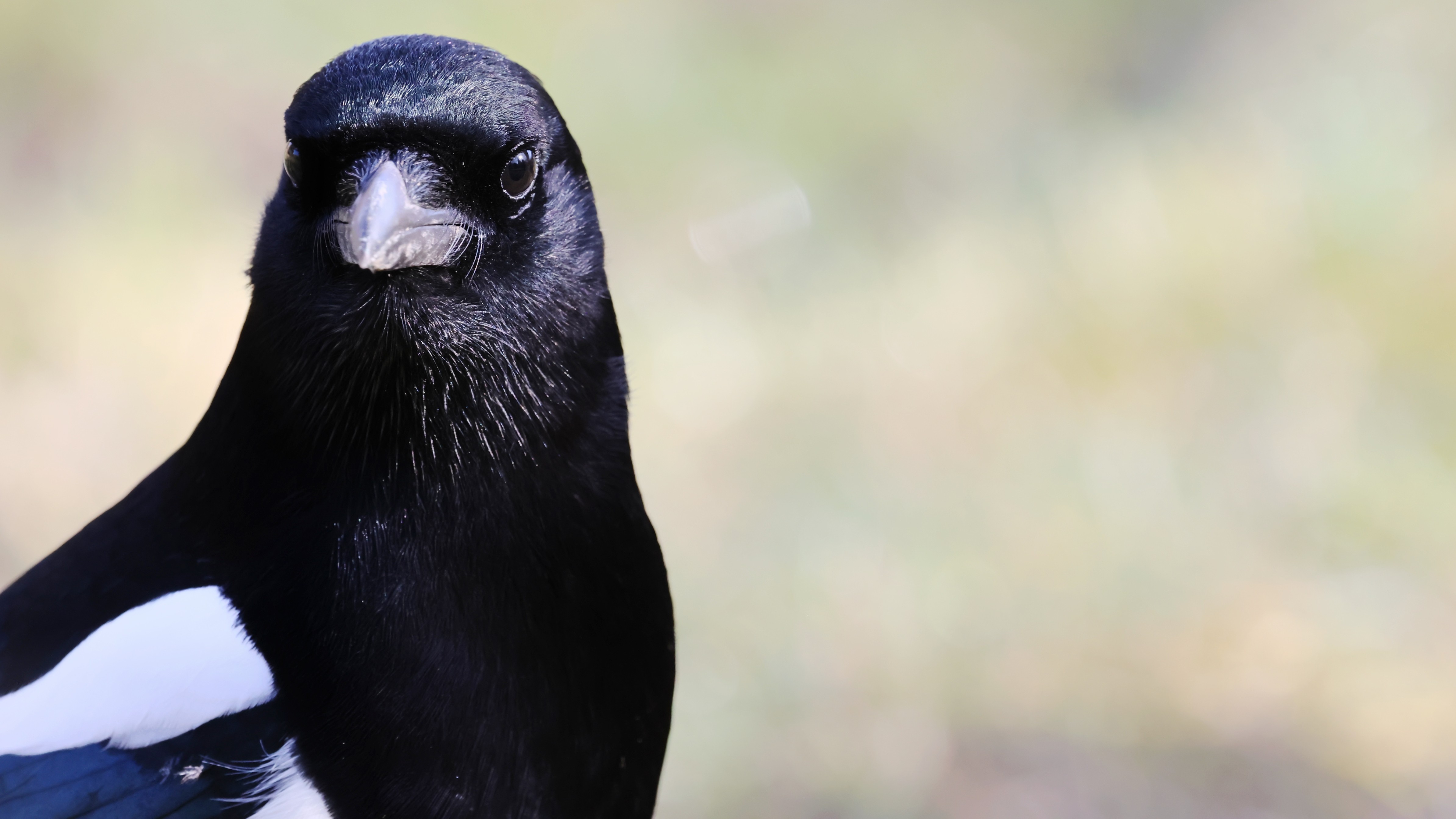 1cc31251-2123-4b14-8427-e84a570863dc.jpg 1cc31251-2123-4b14-8427-e84a570863dc.jpg