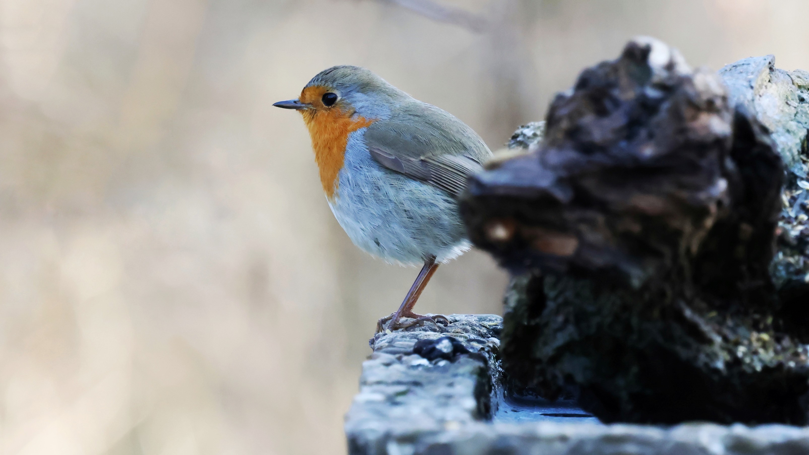 afe1ec6b-7139-4775-af23-936865b7b917.jpg afe1ec6b-7139-4775-af23-936865b7b917.jpg