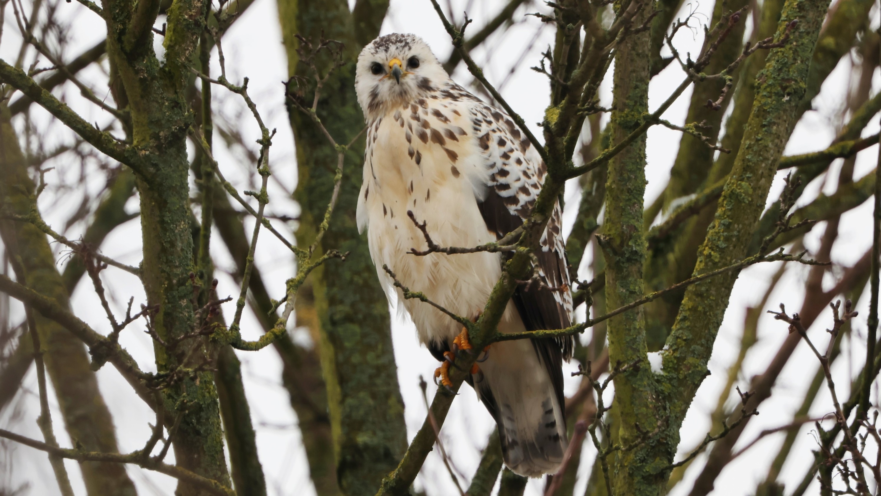 mk84d1c2-1e36-43b5-bb2a-1f5909de3910.jpg mk84d1c2-1e36-43b5-bb2a-1f5909de3910.jpg