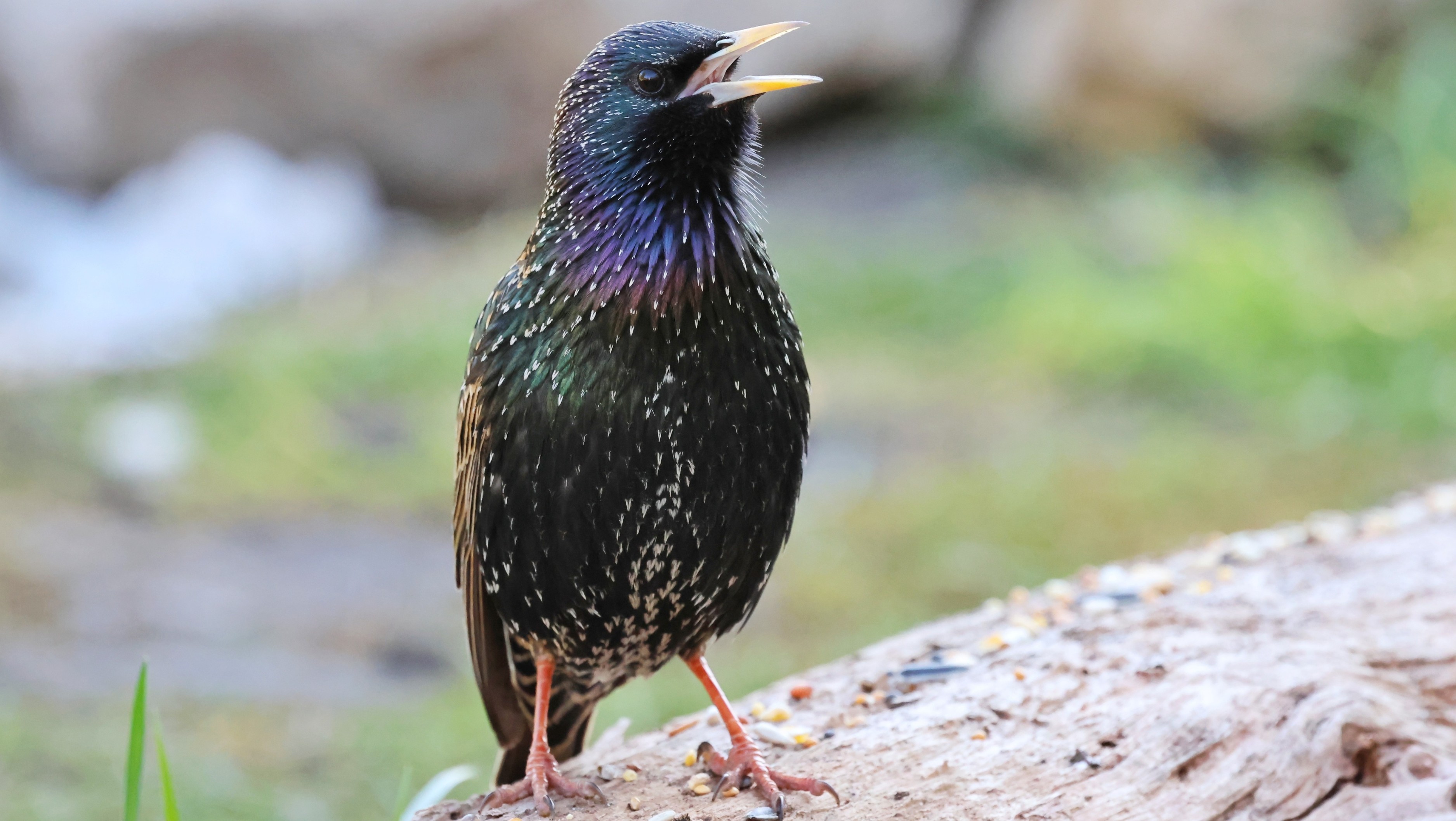 10aac08-6fcb-41f4-b62f-b2fc642b7bf9.jpg 10aac08-6fcb-41f4-b62f-b2fc642b7bf9.jpg