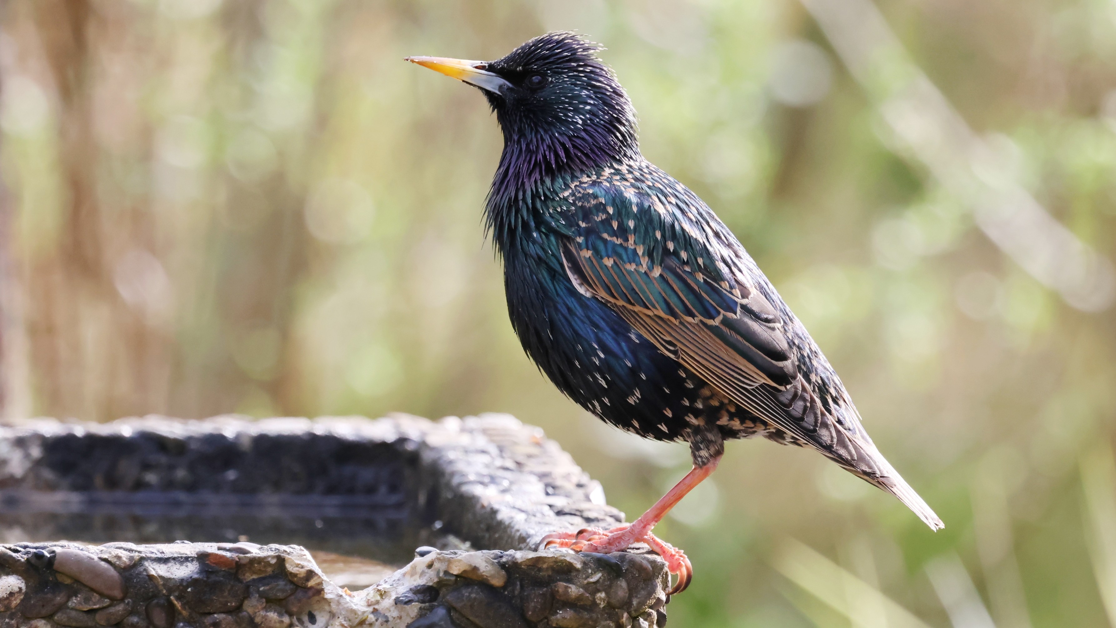 7e60a722-6bfc-4967-9804-f91891db5dd0.jpg 7e60a722-6bfc-4967-9804-f91891db5dd0.jpg