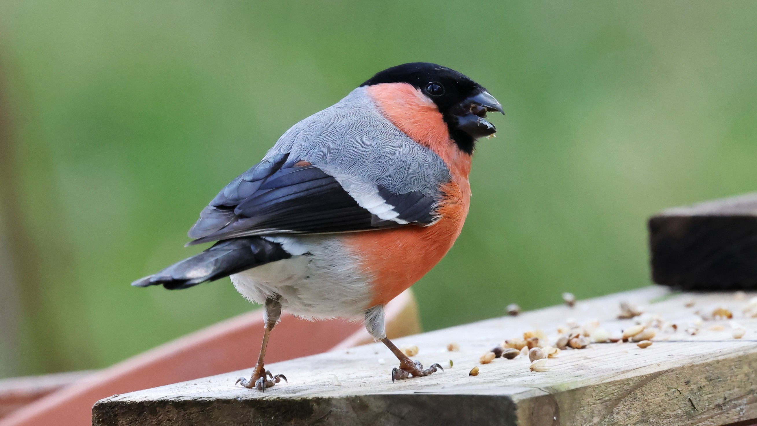 81bfb0f1-42ac-4b38-a400-9d9b1408ec15.jpg 81bfb0f1-42ac-4b38-a400-9d9b1408ec15.jpg