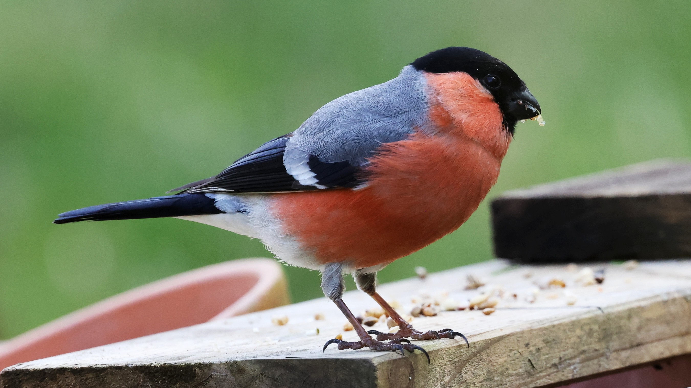 83e4ec0-8e10-4ea0-8b7d-9080d8dfa834.jpg 83e4ec0-8e10-4ea0-8b7d-9080d8dfa834.jpg