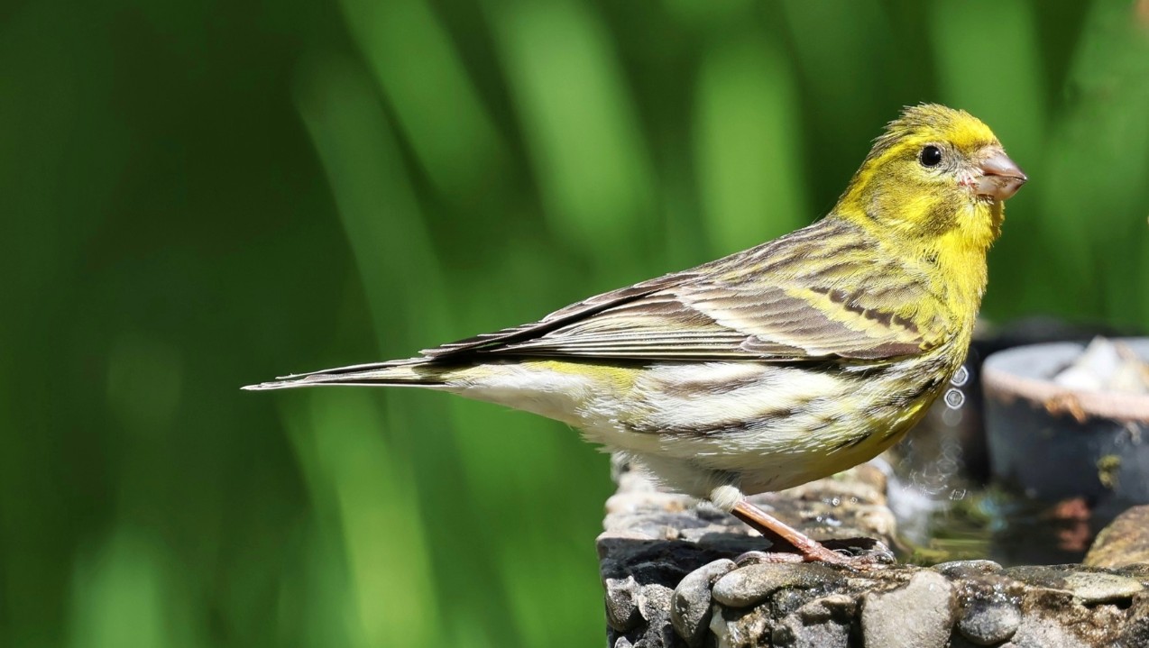 99cab10c-0f08-45fb-8bfa-e868eca5ed0f.jpg 99cab10c-0f08-45fb-8bfa-e868eca5ed0f.jpg