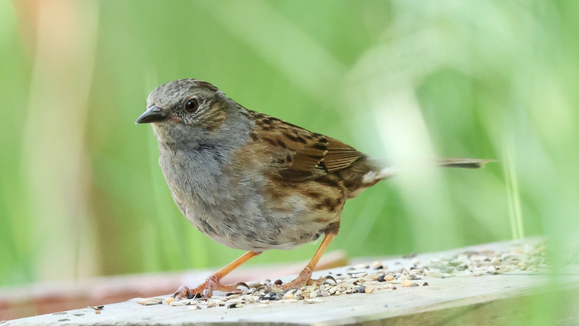 de11a162-073a-4daa-9ba7-bebe3f6dec96.jpg de11a162-073a-4daa-9ba7-bebe3f6dec96.jpg