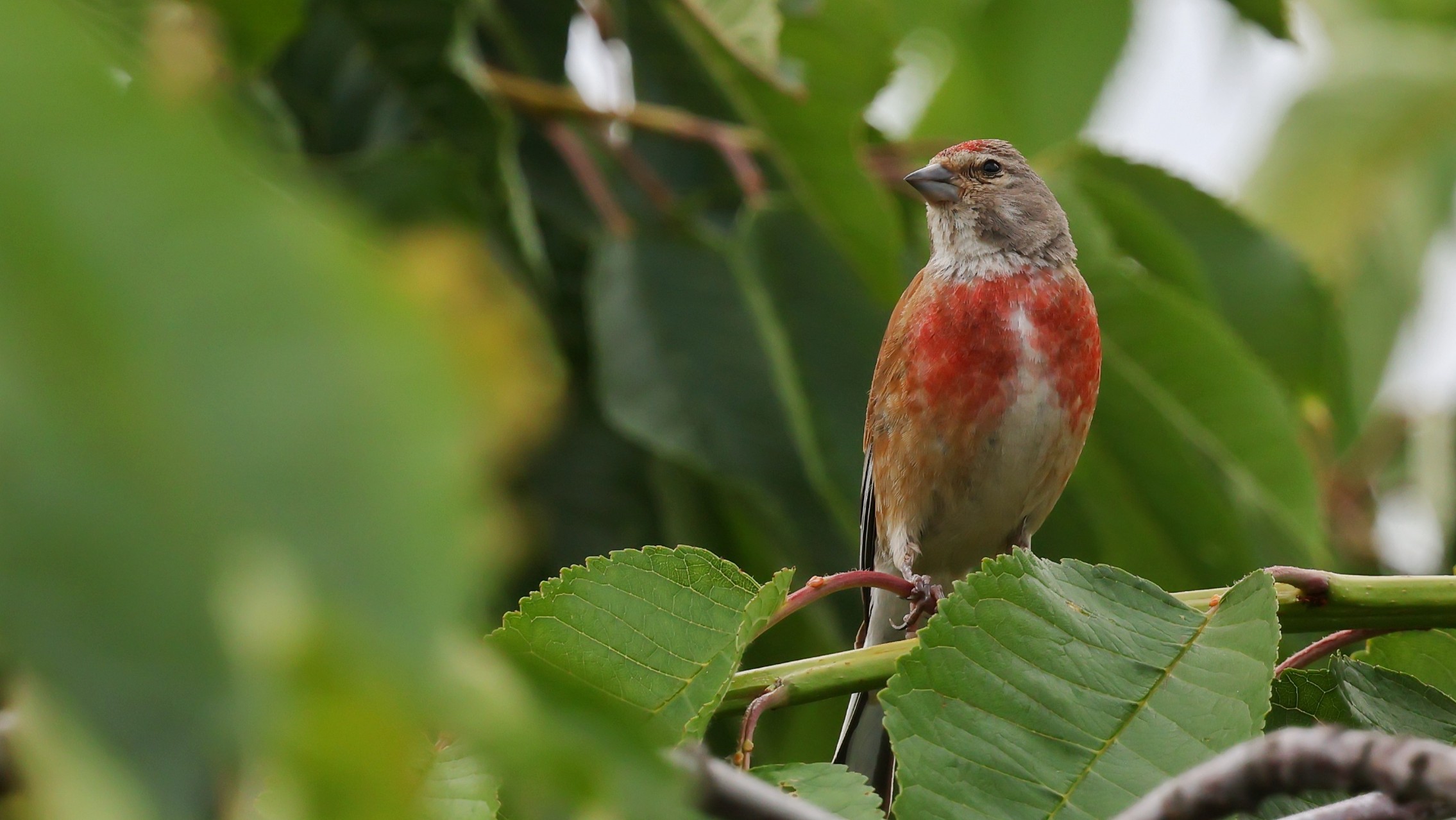 0c1f2671-2b6b-420e-bec7-46d8d4cd7b76.jpg 0c1f2671-2b6b-420e-bec7-46d8d4cd7b76.jpg