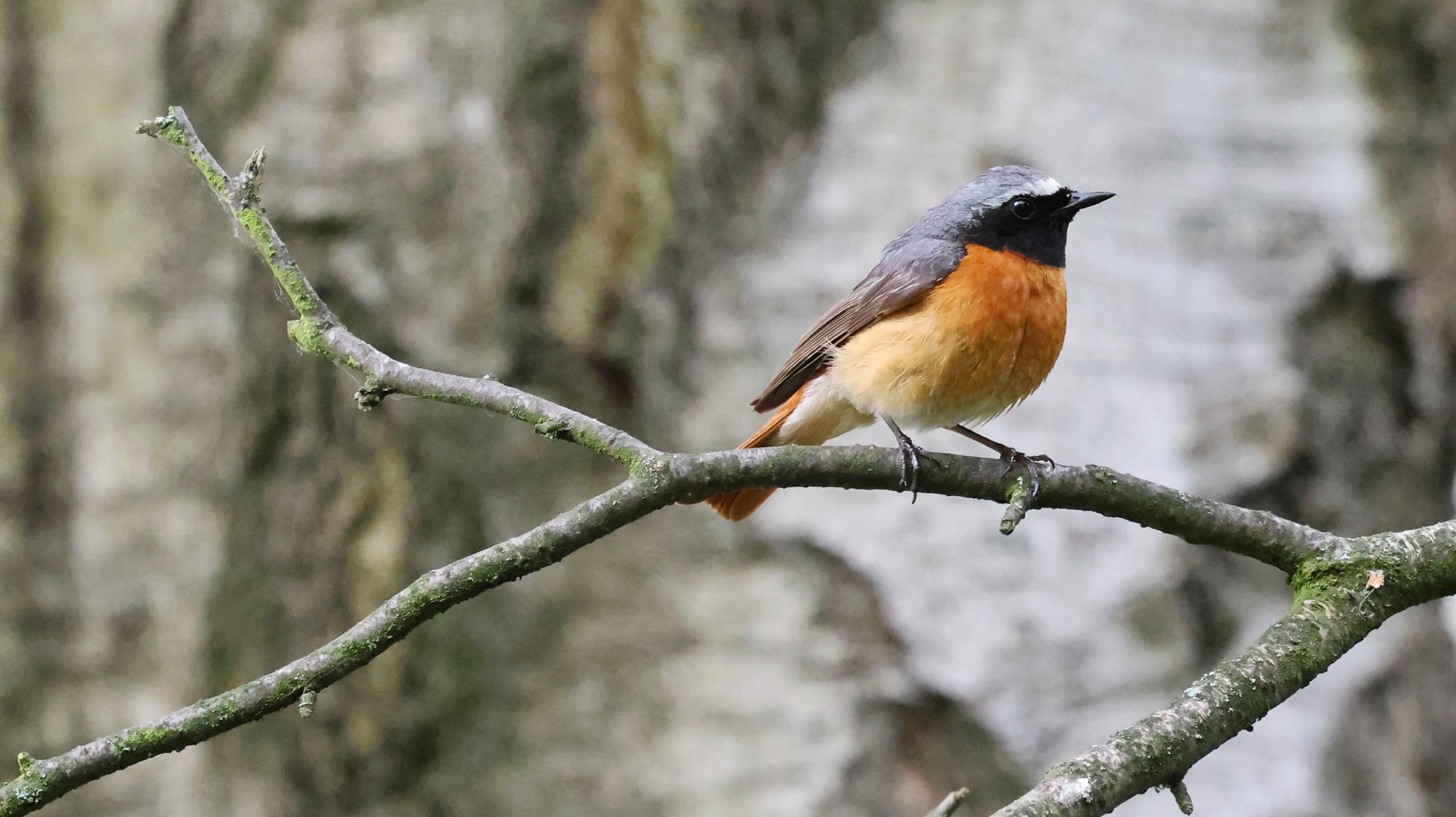 14326bbe-004a-4ca2-bb20-c3daef11a73d.jpg 14326bbe-004a-4ca2-bb20-c3daef11a73d.jpg