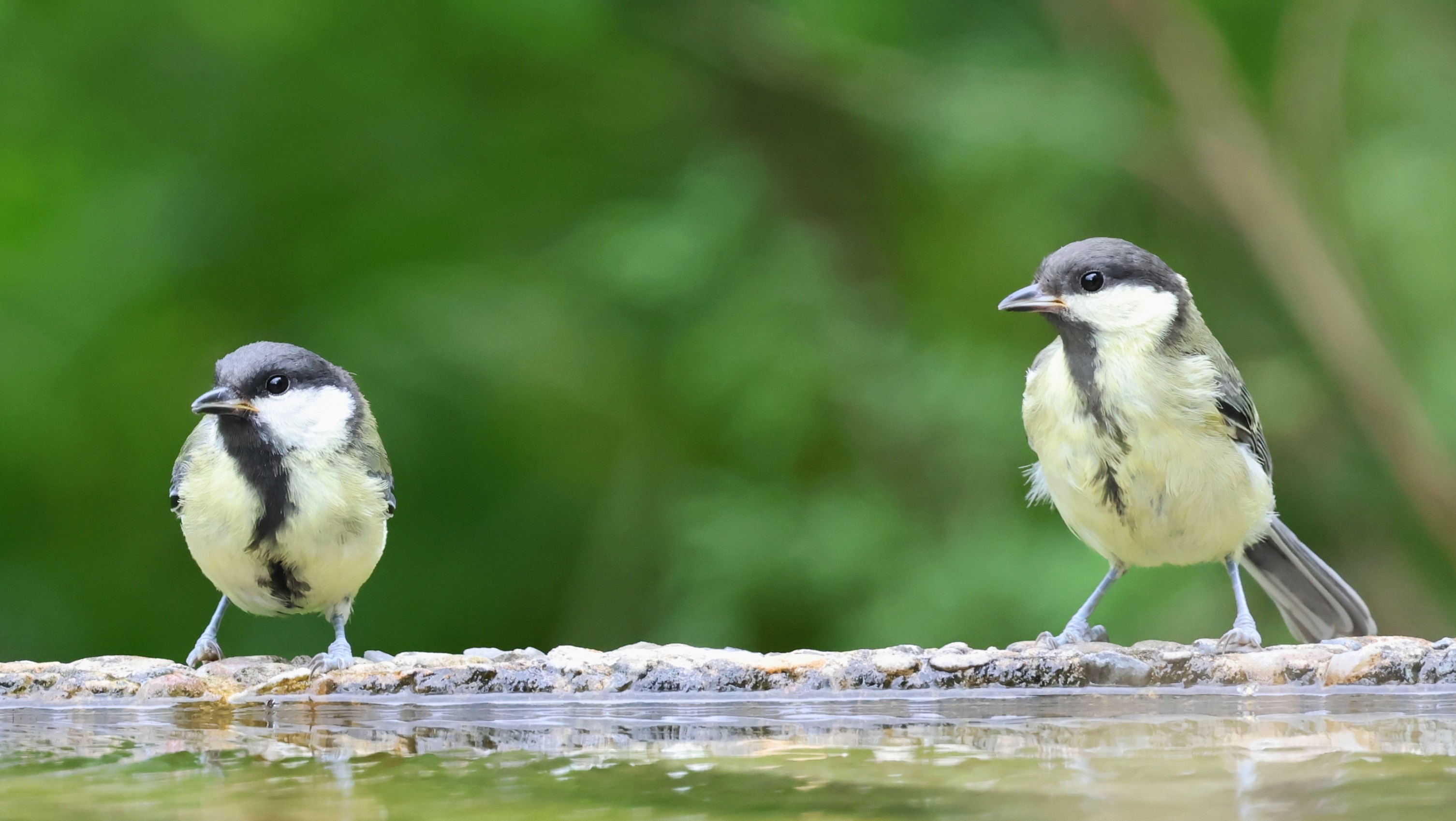 1ad836ab-c1bf-4068-98aa-704acf68d421.jpg 1ad836ab-c1bf-4068-98aa-704acf68d421.jpg