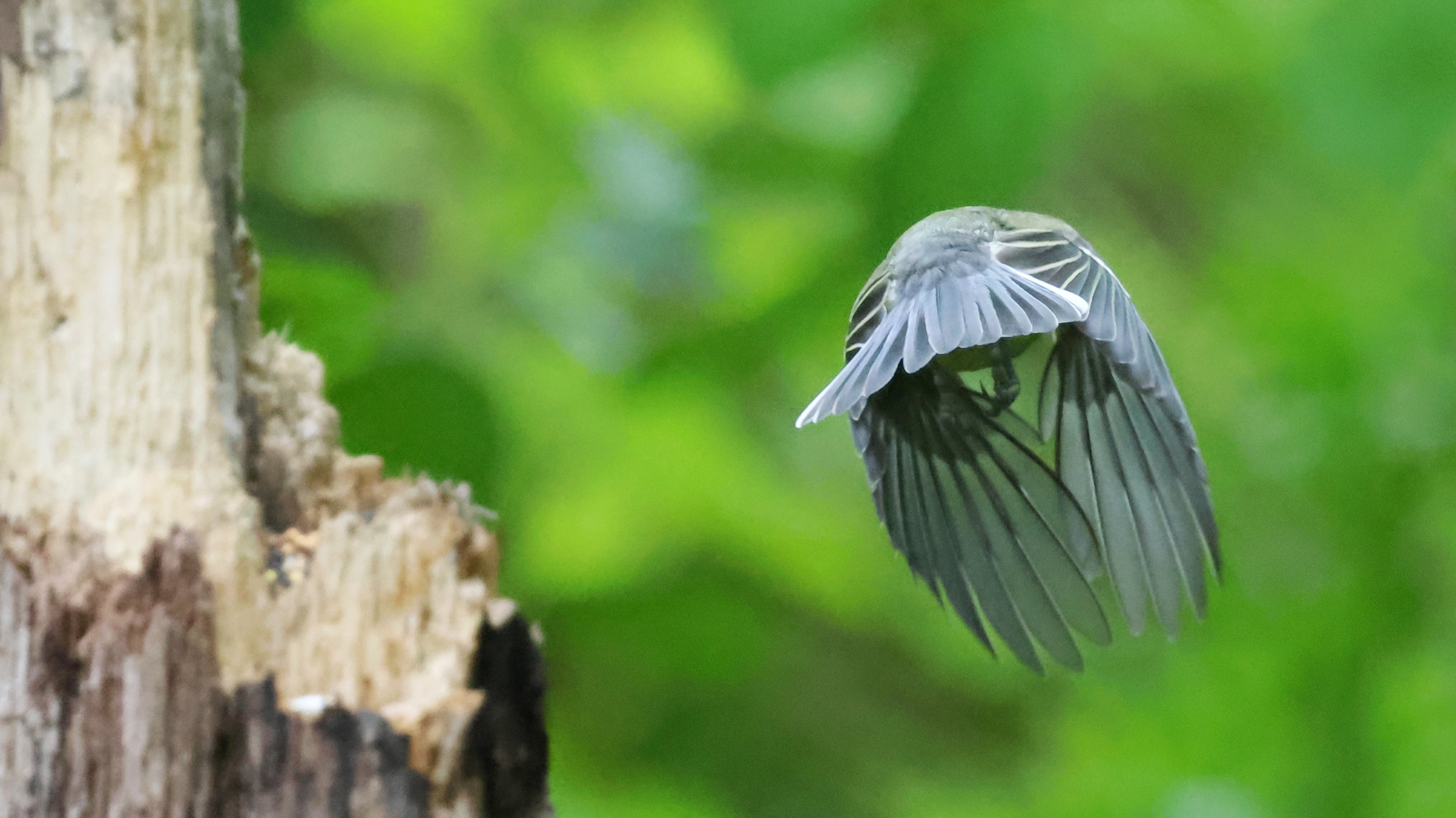 1bebf68f-feff-44aa-9219-2ae31635c701.jpg 1bebf68f-feff-44aa-9219-2ae31635c701.jpg