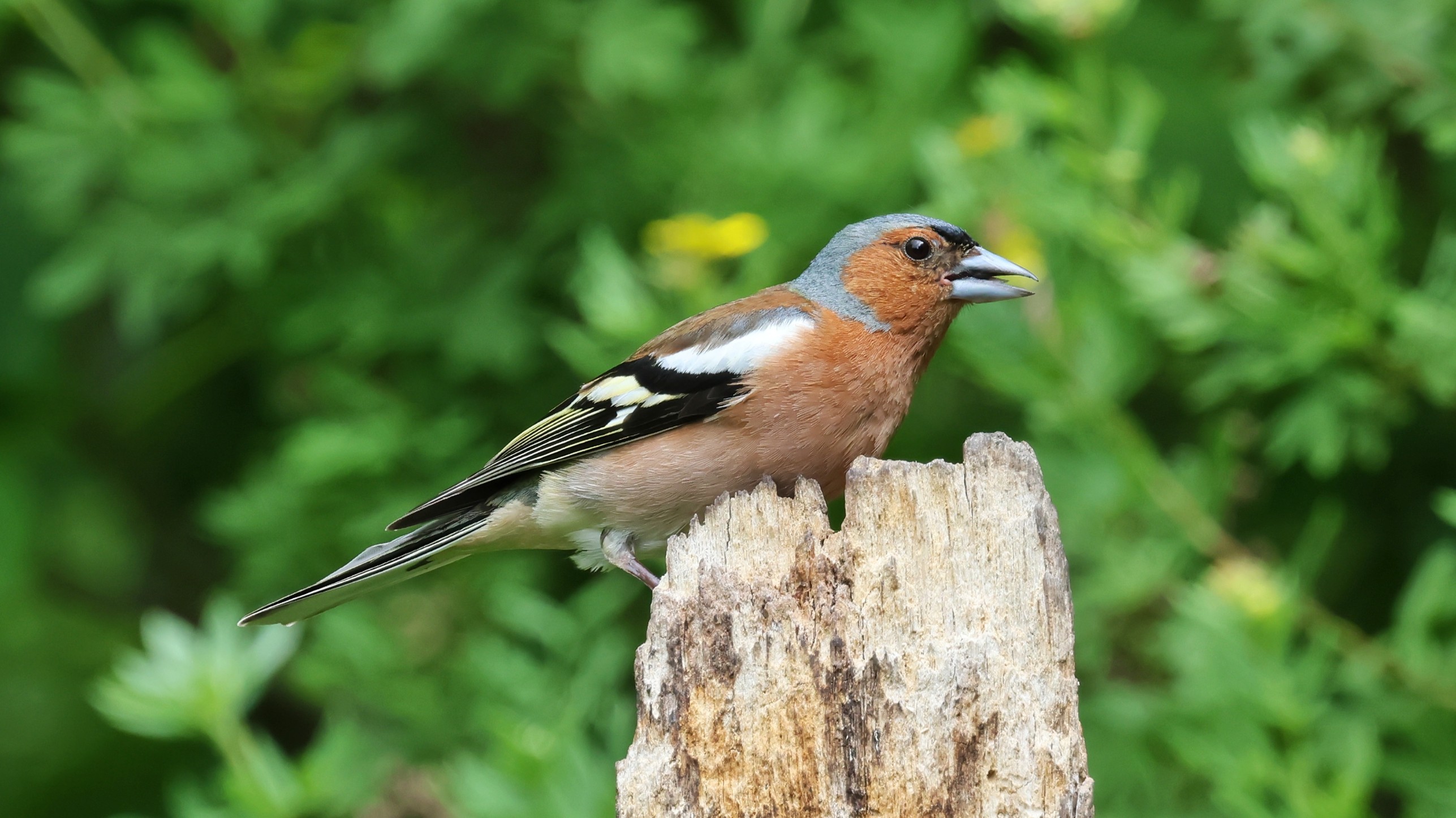 1cacc333-a511-43b3-8f01-550db104e794.jpg 1cacc333-a511-43b3-8f01-550db104e794.jpg