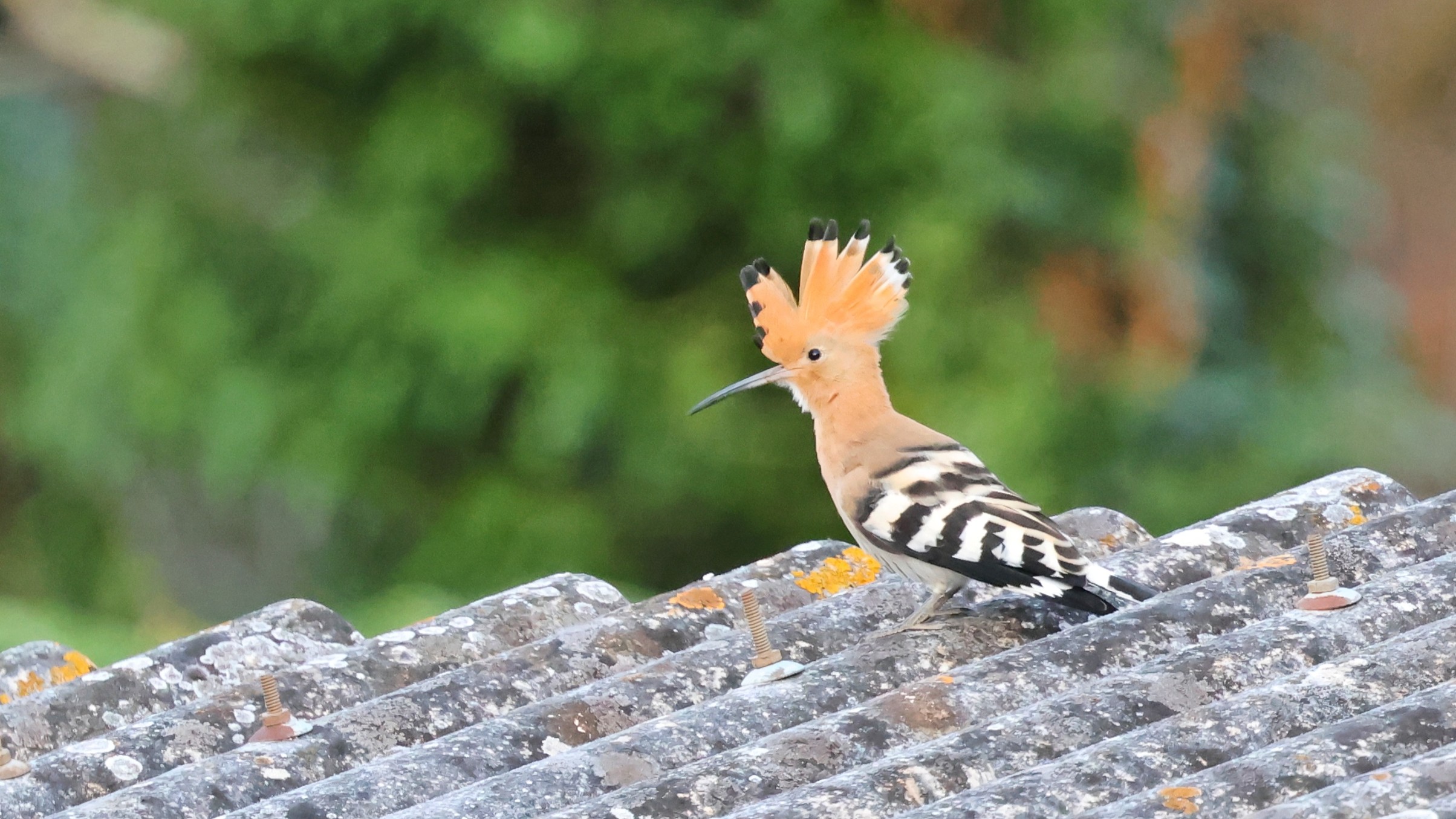 a1102359-9100-4180-bce6-55981778a785.jpg a1102359-9100-4180-bce6-55981778a785.jpg