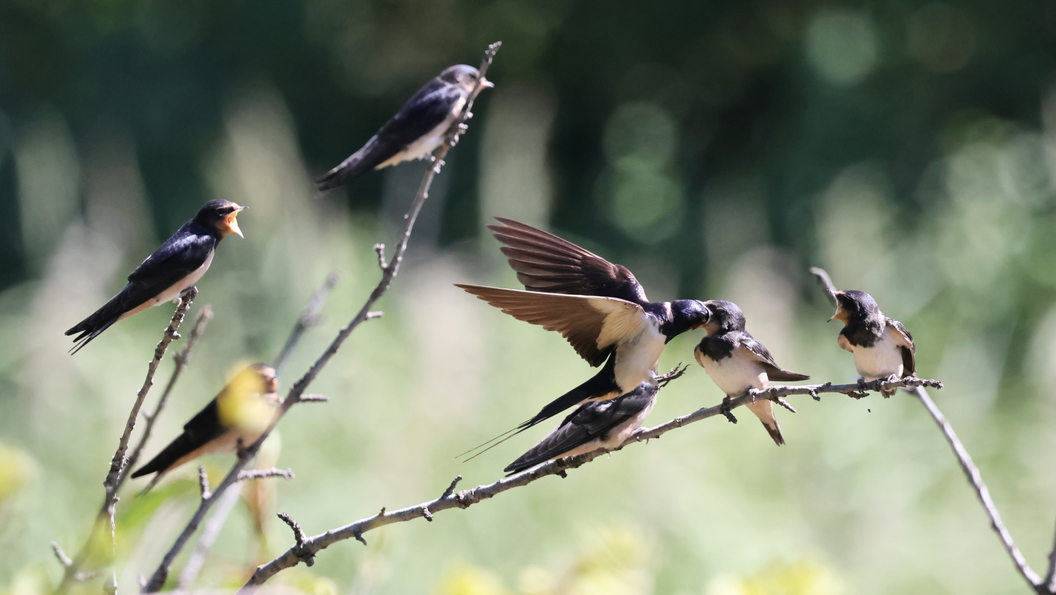 b1048a603-da72-4519-bc3c-040447bc0cc7.jpg b1048a603-da72-4519-bc3c-040447bc0cc7.jpg