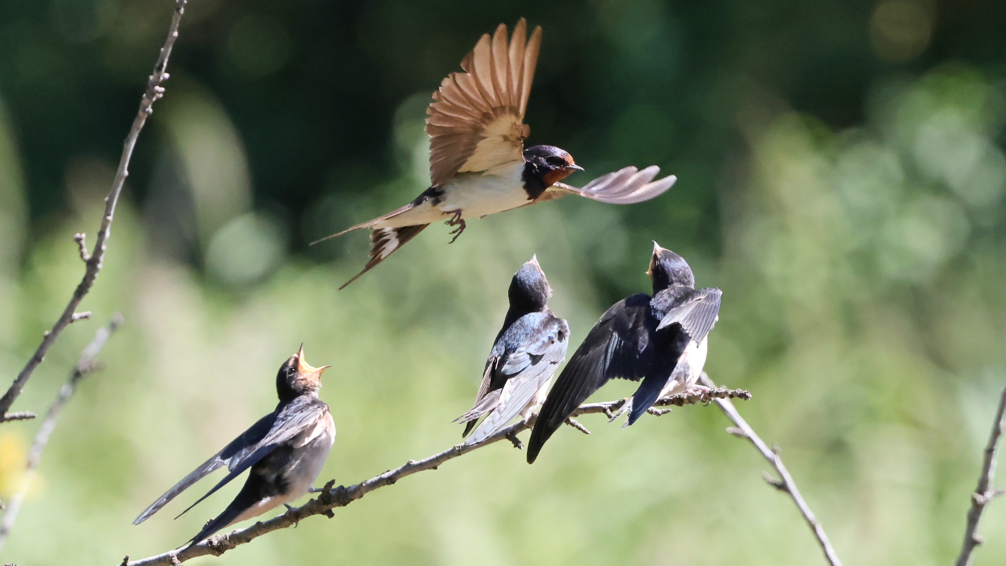 b30c39b16-6f30-4585-97fd-dd4fa48e3a05.jpg b30c39b16-6f30-4585-97fd-dd4fa48e3a05.jpg