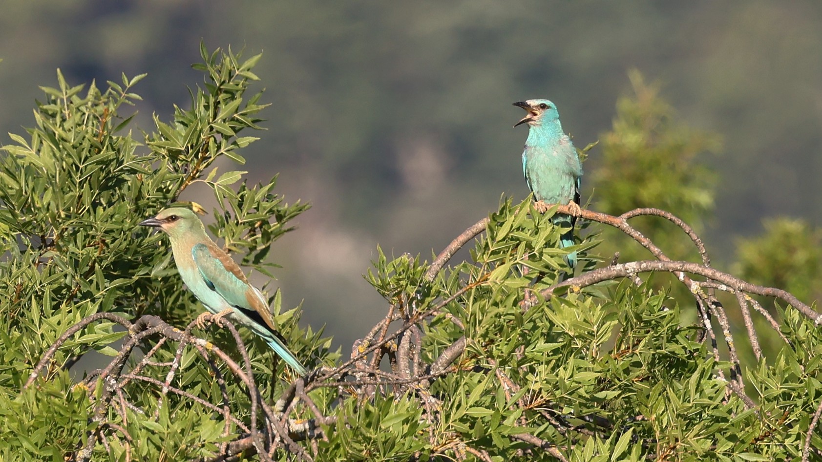 d713a9884-ceb7-43a9-acf0-1c506f01c6dd.jpg d713a9884-ceb7-43a9-acf0-1c506f01c6dd.jpg