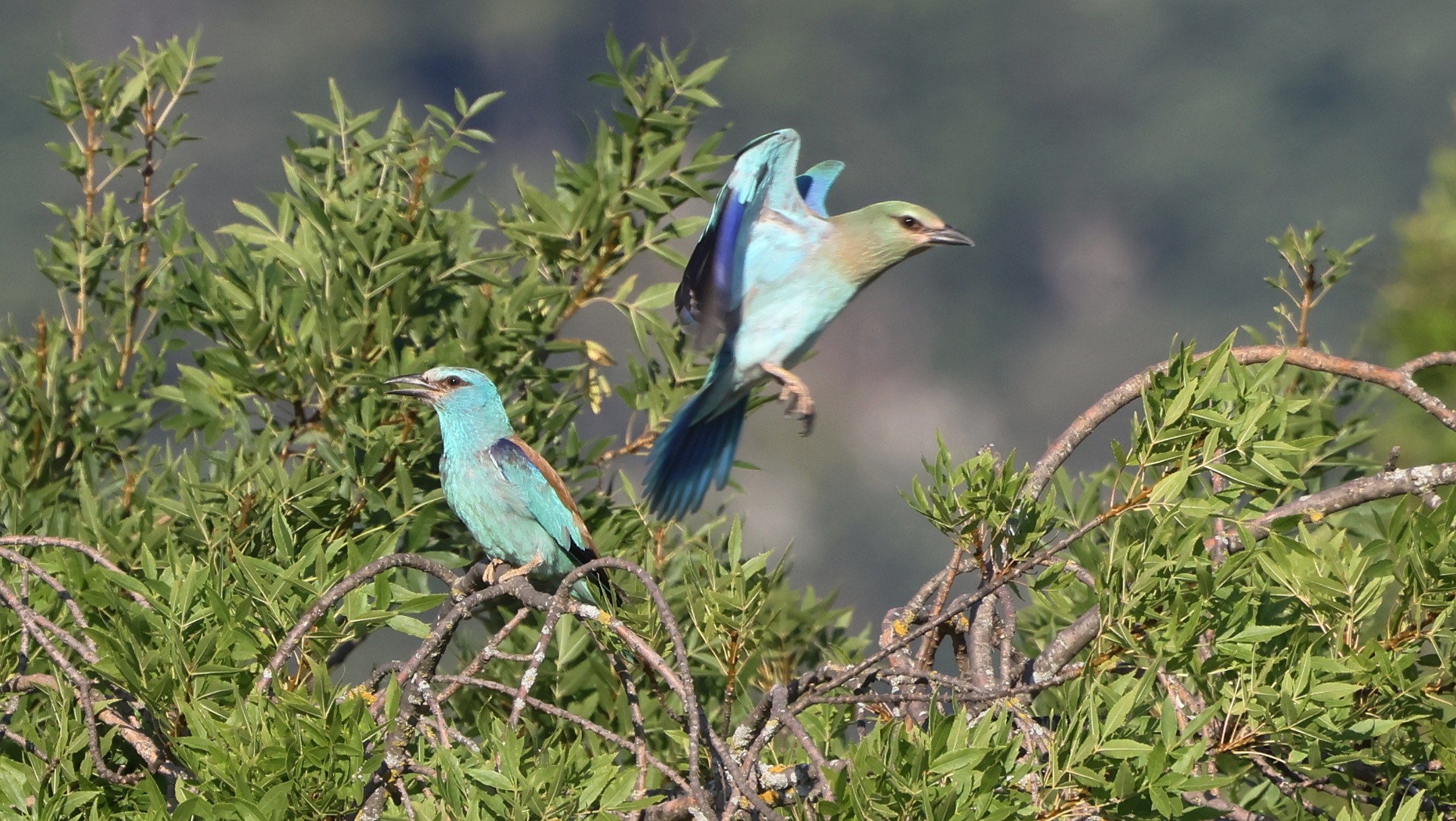 d8a64d6b6-51c8-4b94-8188-1b339b0e854e.jpg d8a64d6b6-51c8-4b94-8188-1b339b0e854e.jpg