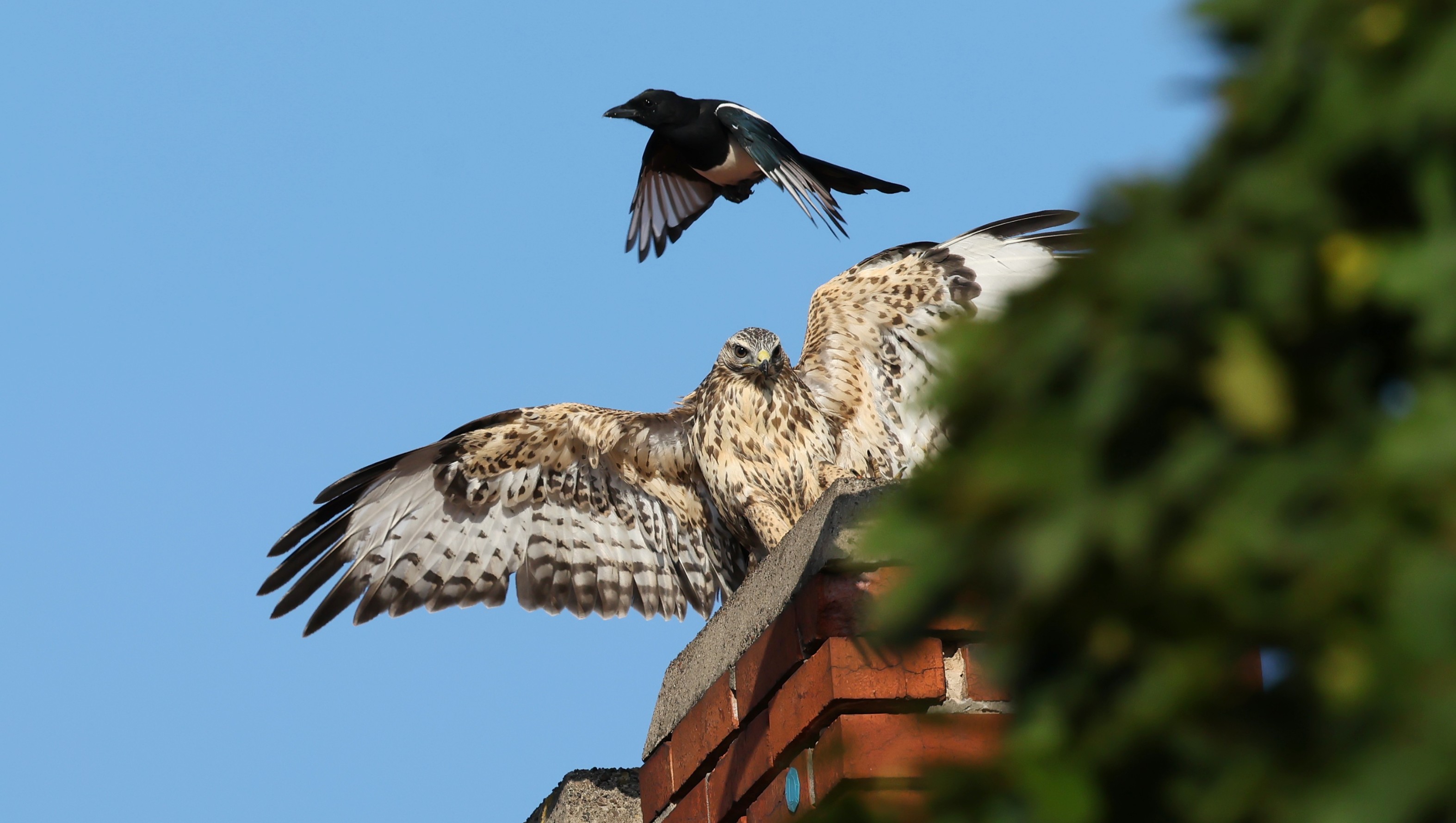 2af9fddf-9120-483b-9157-6f70070712b6.jpg 2af9fddf-9120-483b-9157-6f70070712b6.jpg