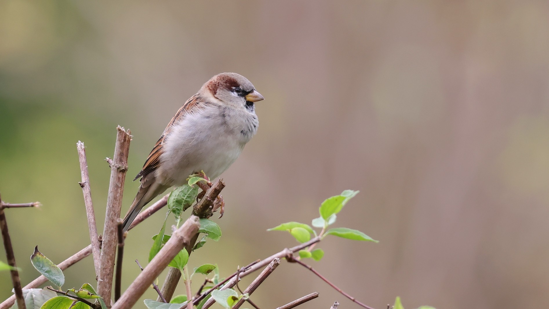 4c846ee34-b144-481b-8ca7-ad3a7ba3a6ed.jpg 4c846ee34-b144-481b-8ca7-ad3a7ba3a6ed.jpg