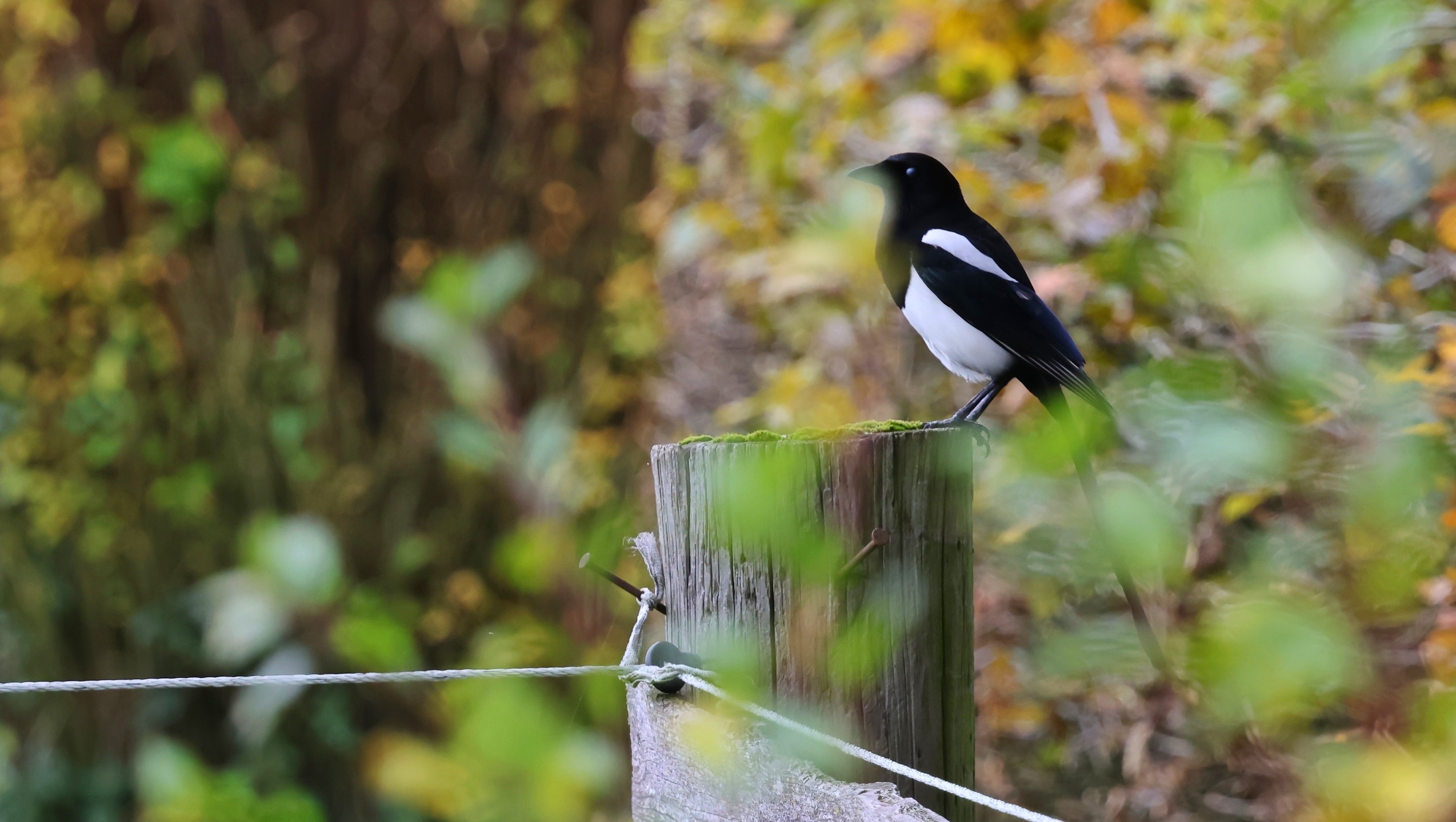 74541cde-73bf-43bf-bd37-9863465fb6b3.jpg 74541cde-73bf-43bf-bd37-9863465fb6b3.jpg