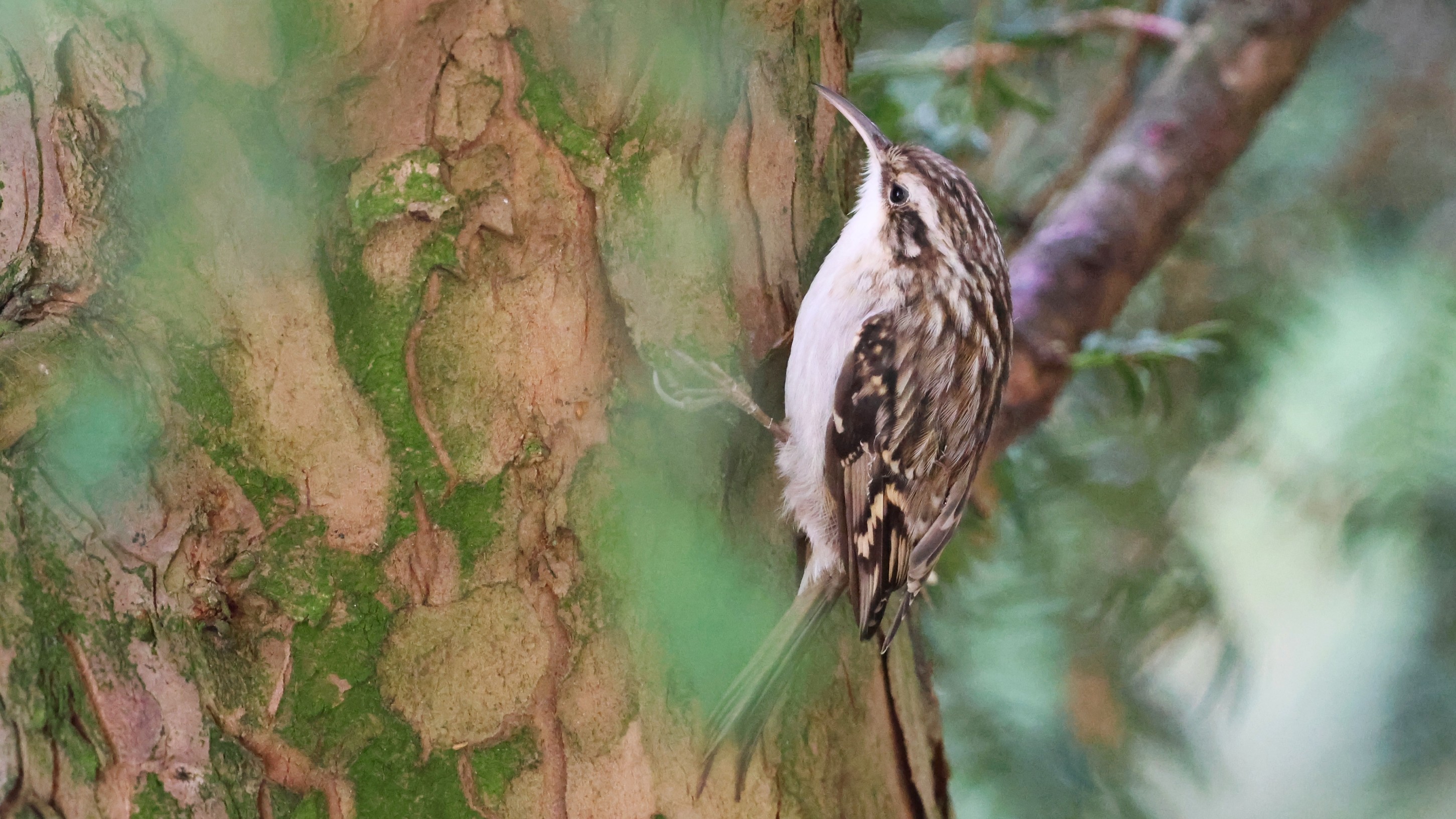 ff123503-3f87-4eb5-9de8-2d6bb72ec38a.jpg ff123503-3f87-4eb5-9de8-2d6bb72ec38a.jpg